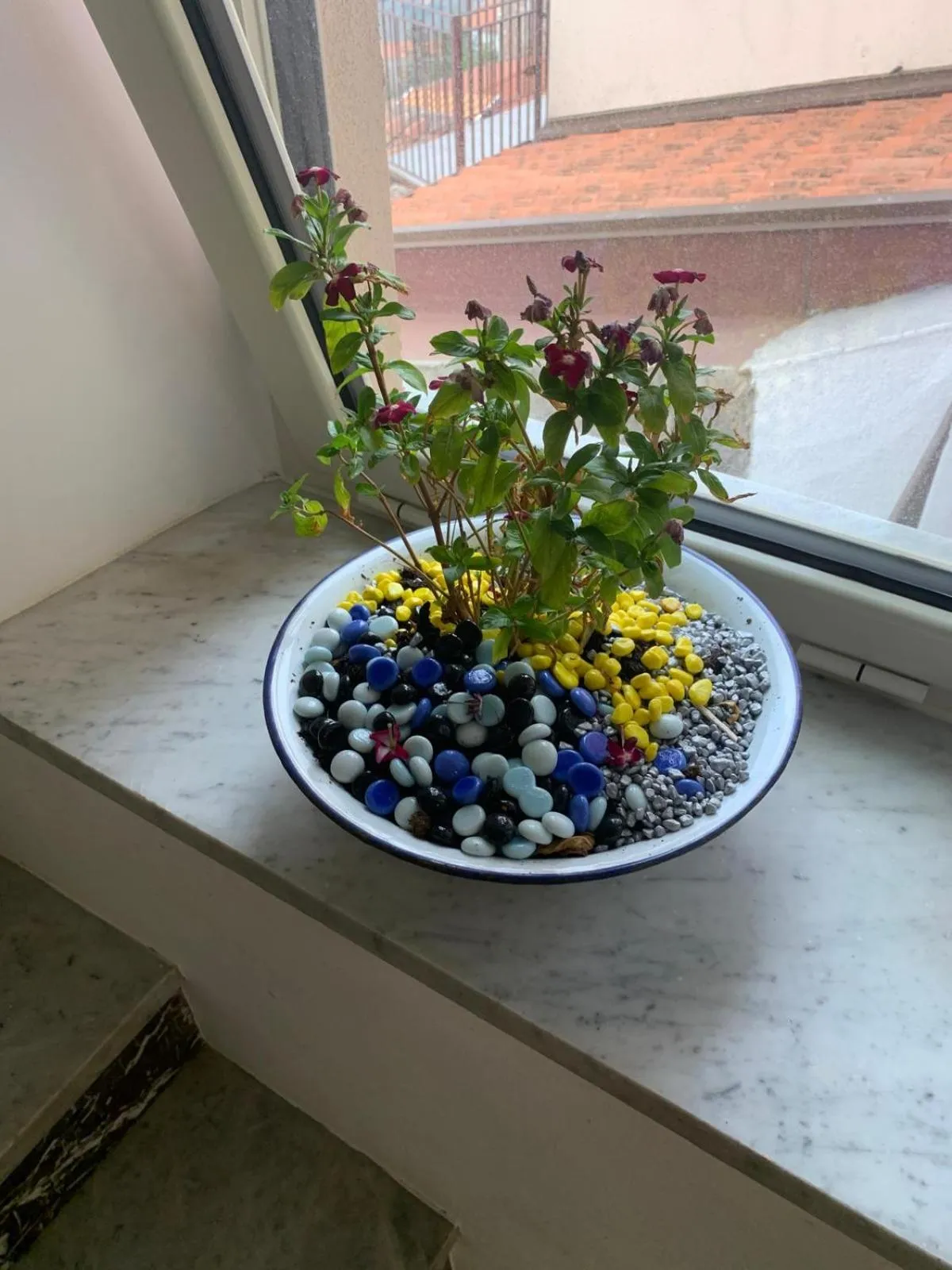 Bed & Breakfast StudioArcodia-