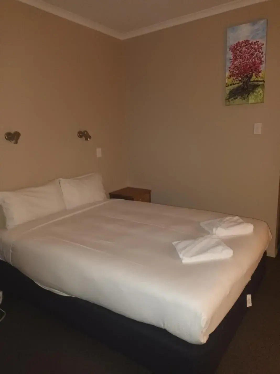 Deluxe Family Suite in Tongariro Junction Accommodation Deluxe Family Suite in Tongariro Junction Accommodation