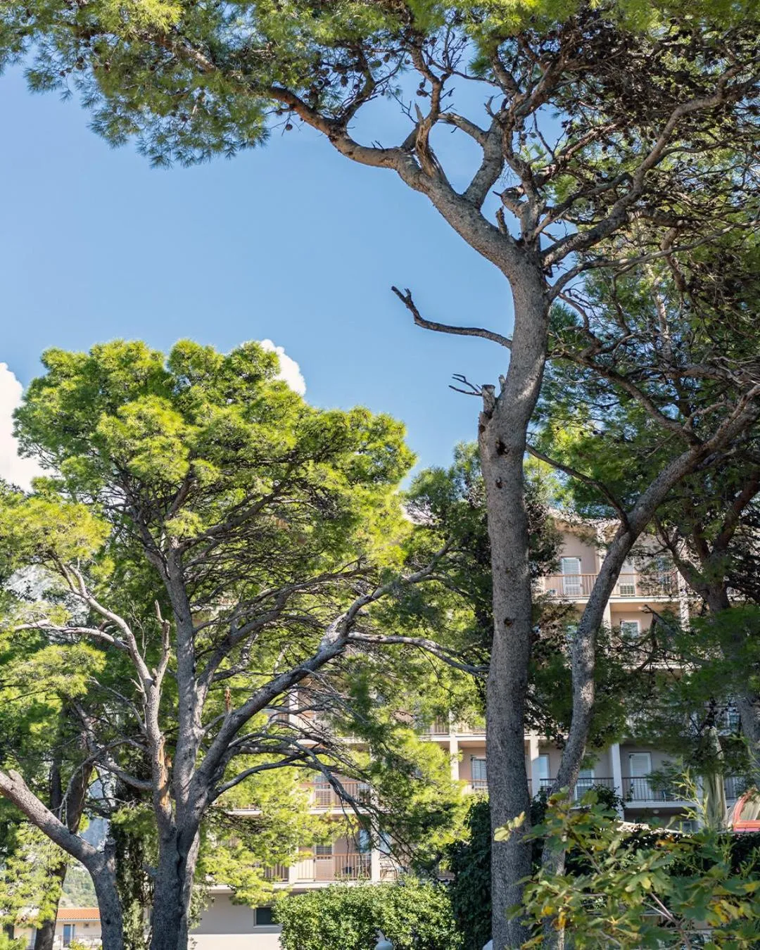 Property building in Hotel Horizont