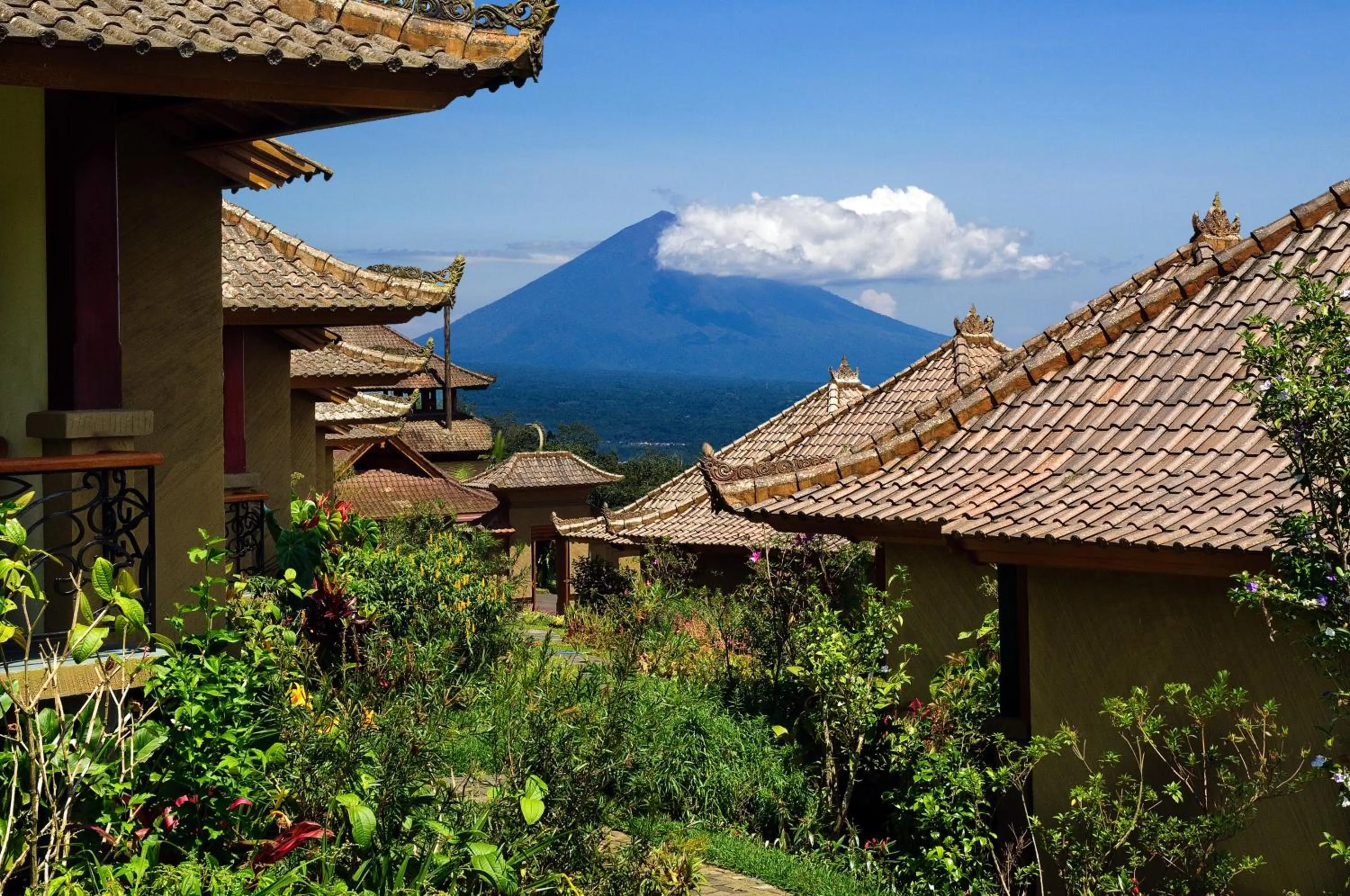 Mountain view in Strawberry Hill Hotel & Restaurant