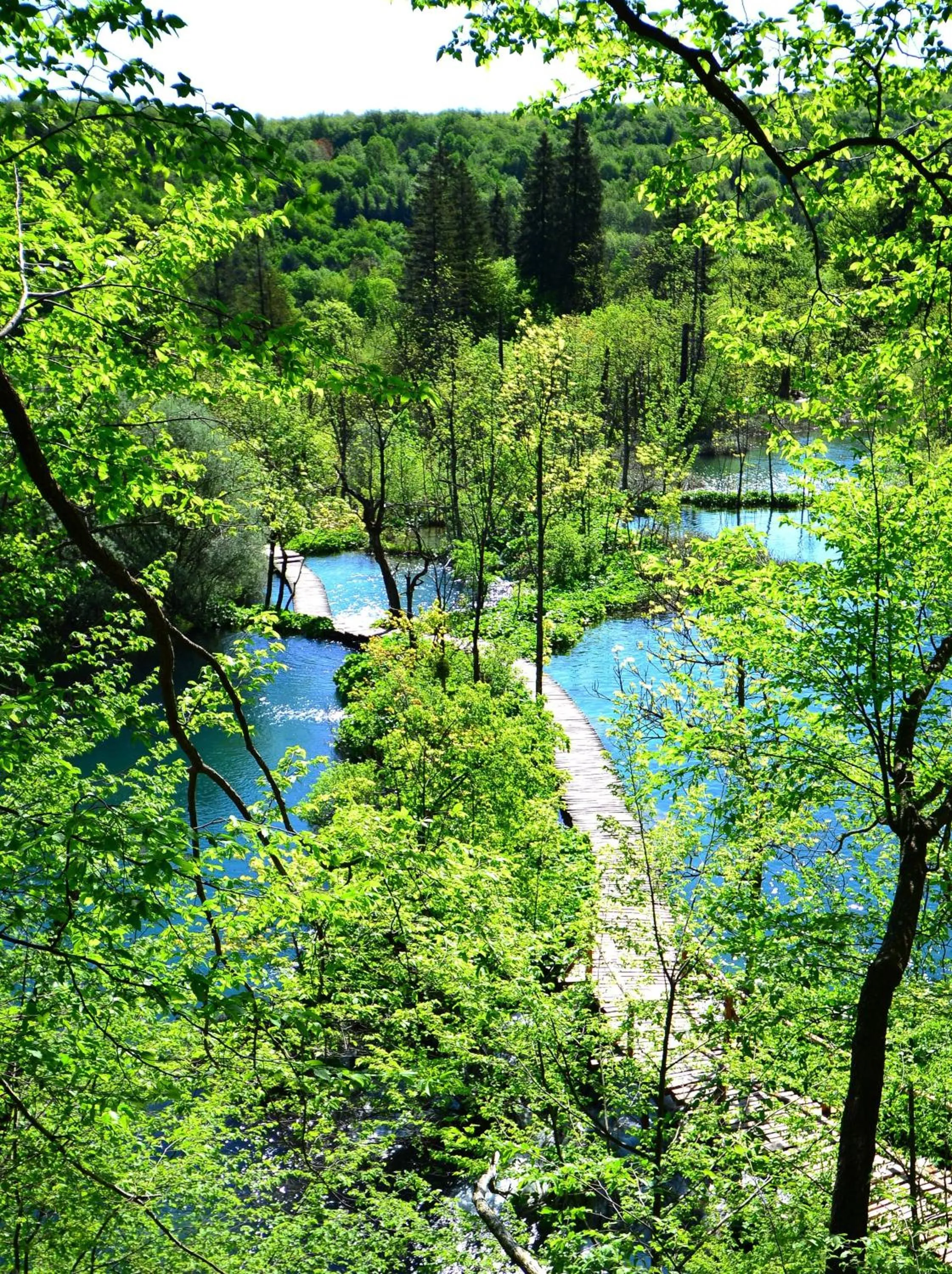 Area and facilities in House Janja Plitvice