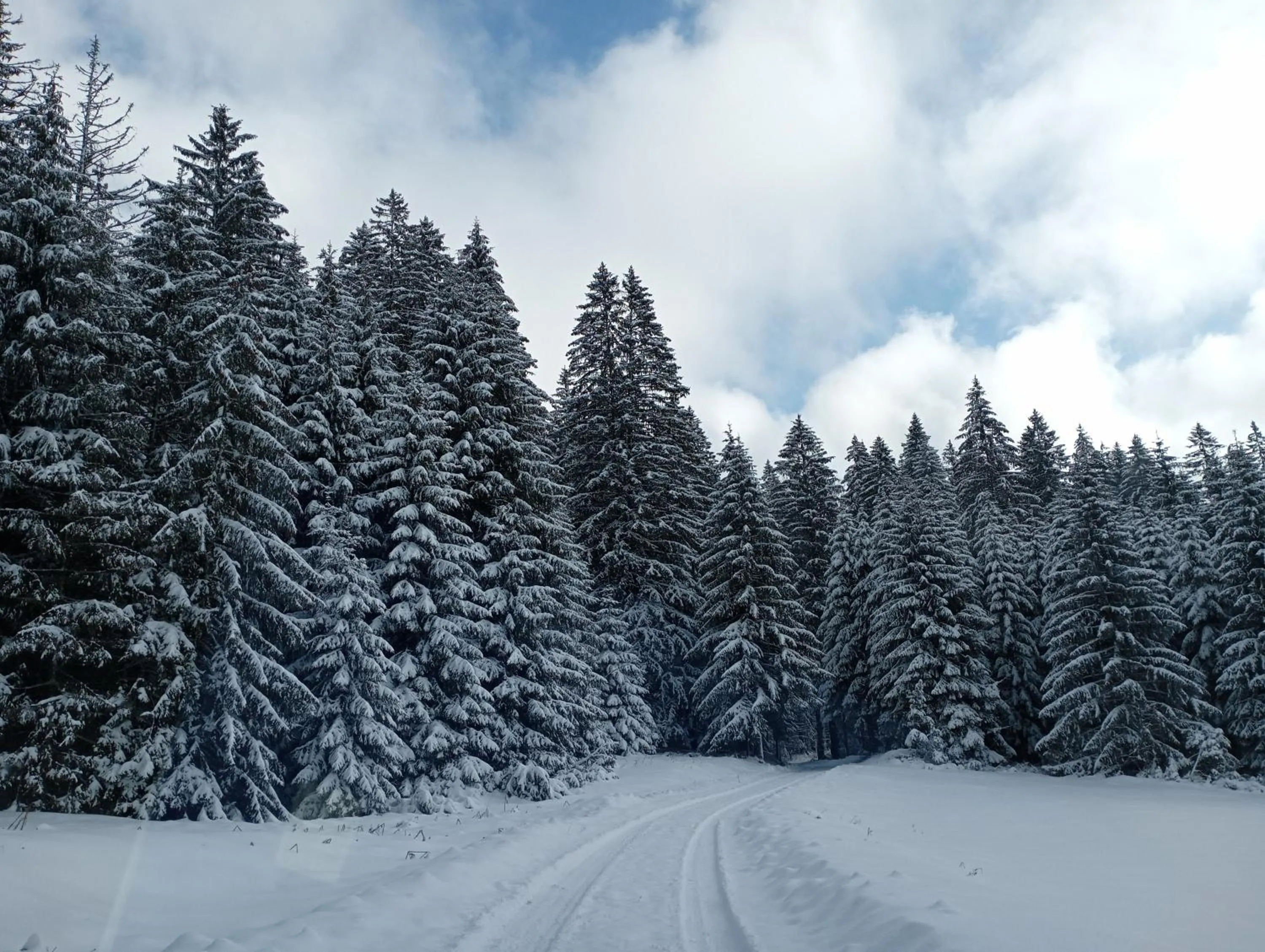 Winter in House Janja Plitvice