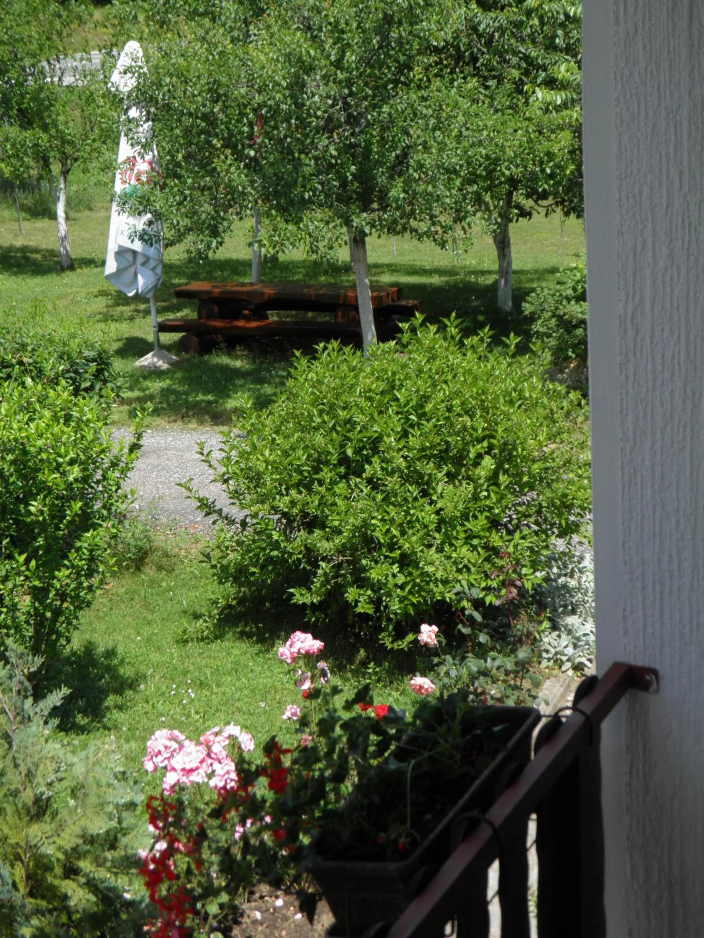 View (from property/room) in House Janja Plitvice