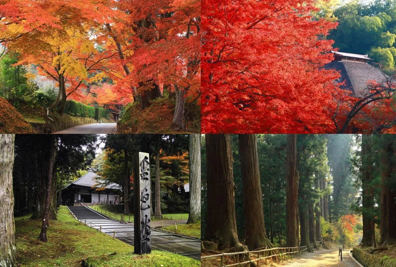 Nearby landmark in Shugyoku no Yu Yakushido Onsen