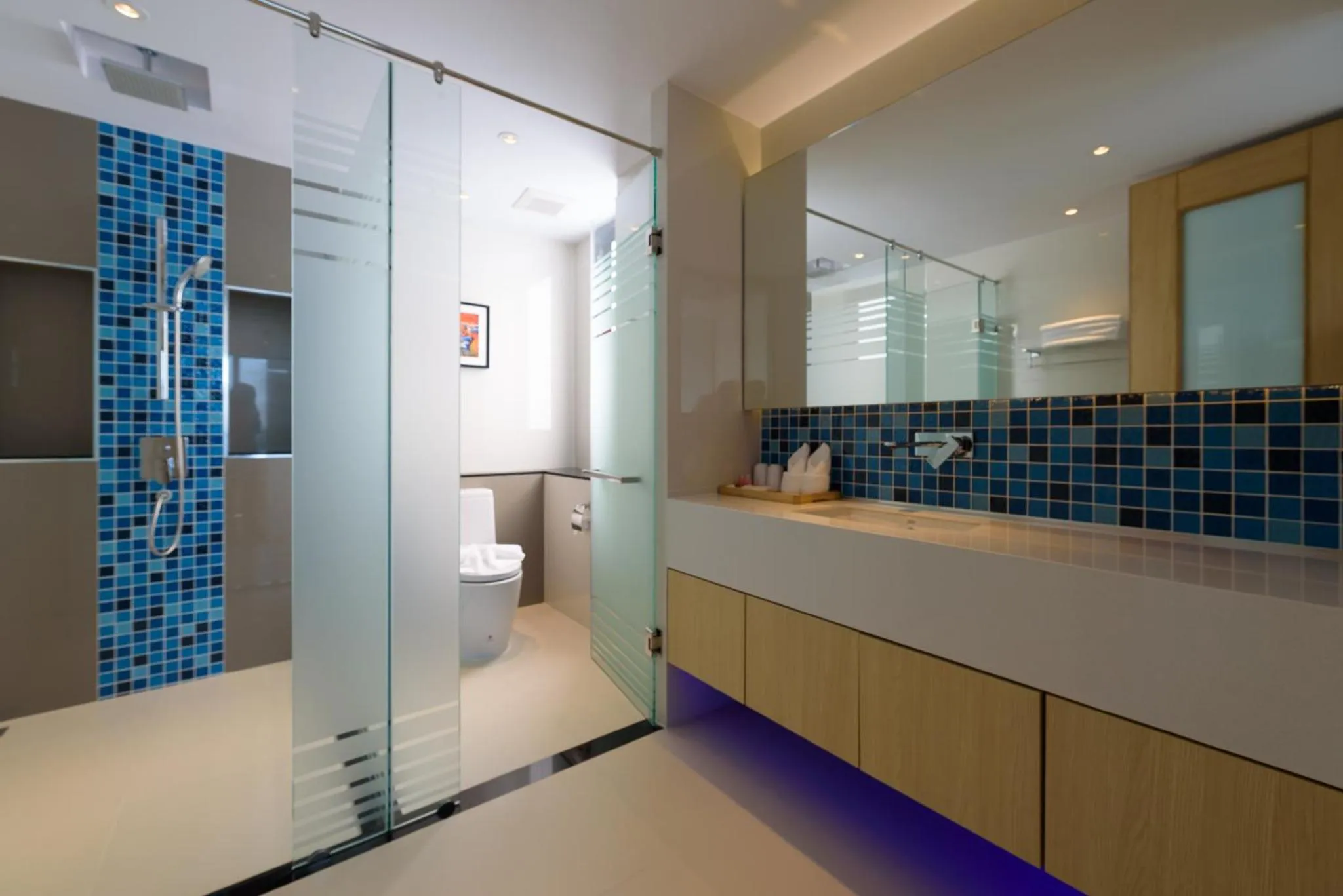 Bathroom in Deep Blue Z10