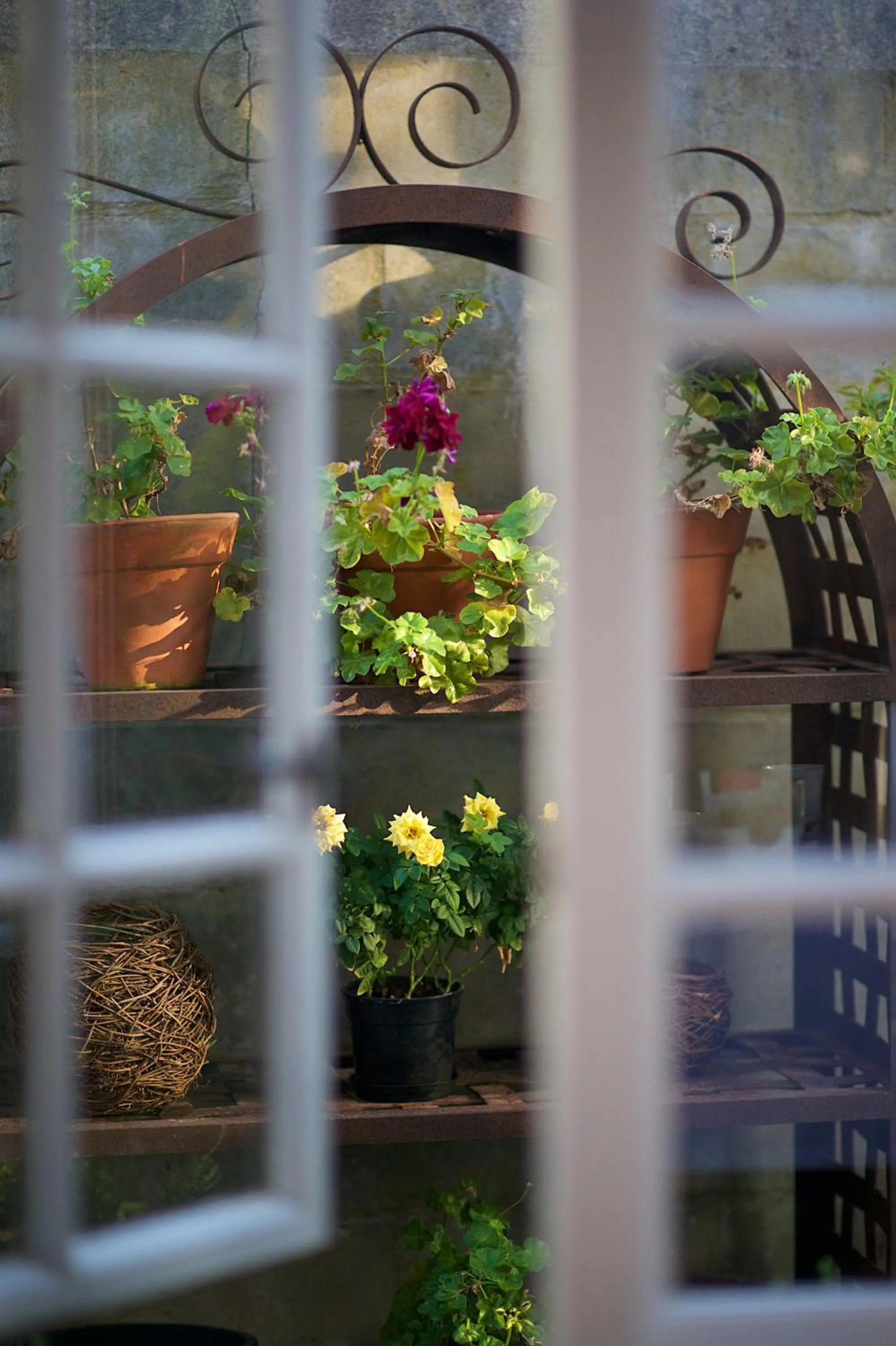 Decorative detail in Baruch Guesthouse on Lovell