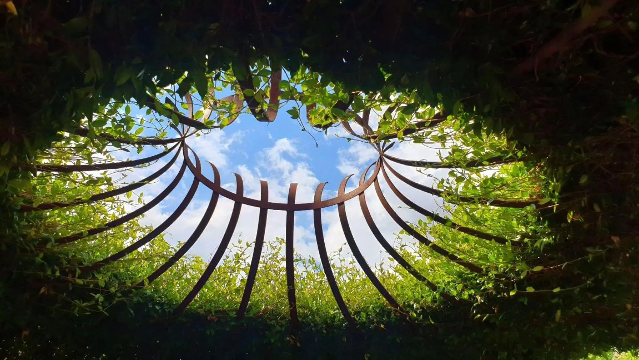 Garden in Les Loges de Saint Eloi