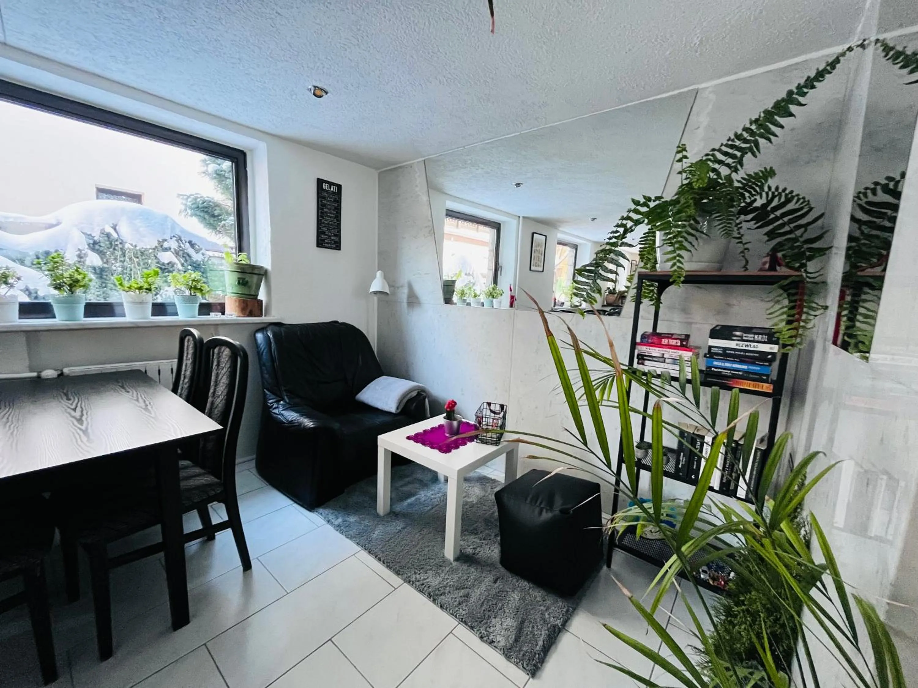 Activities in Willa Hektor