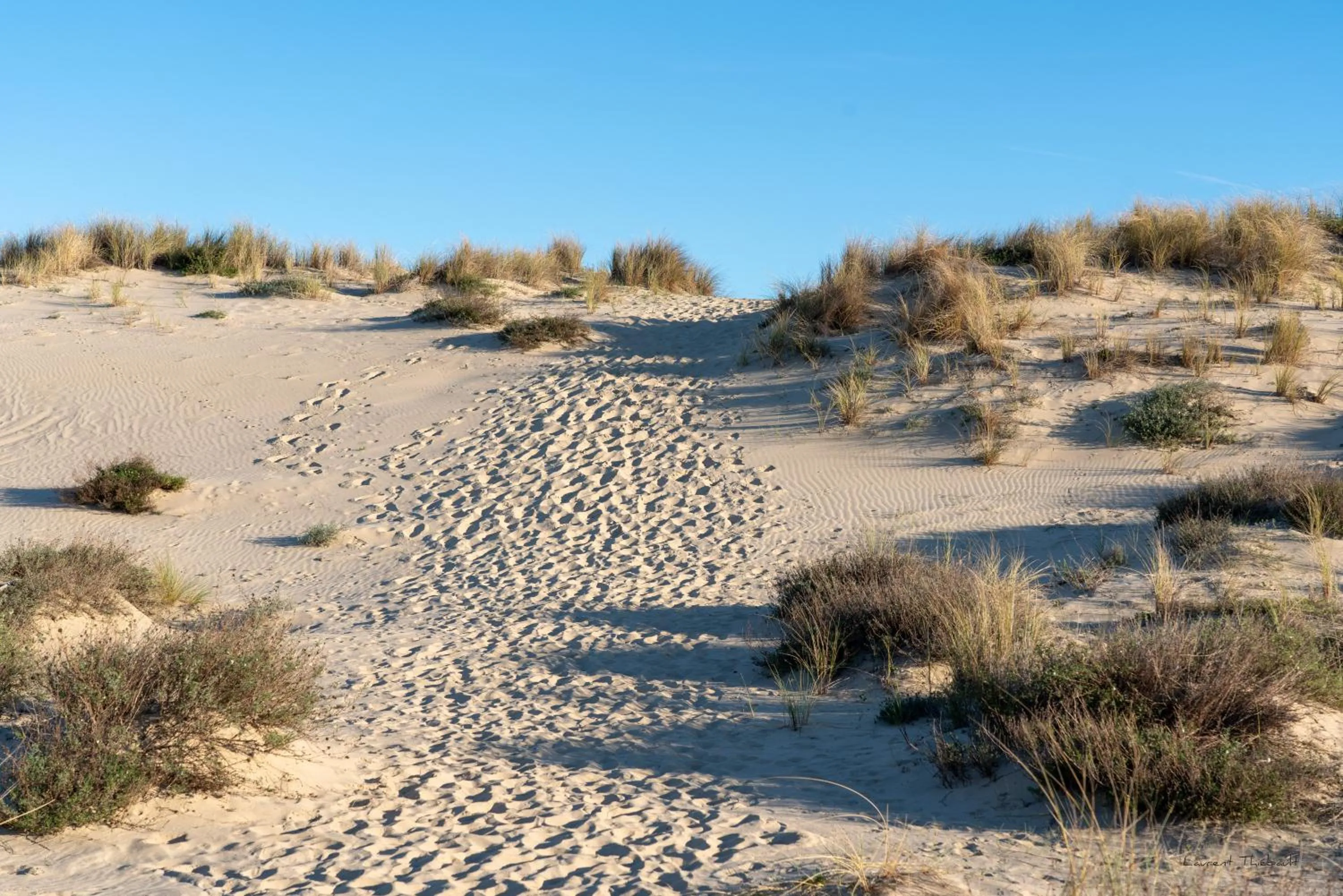 Activities in Résidence les Alcyons