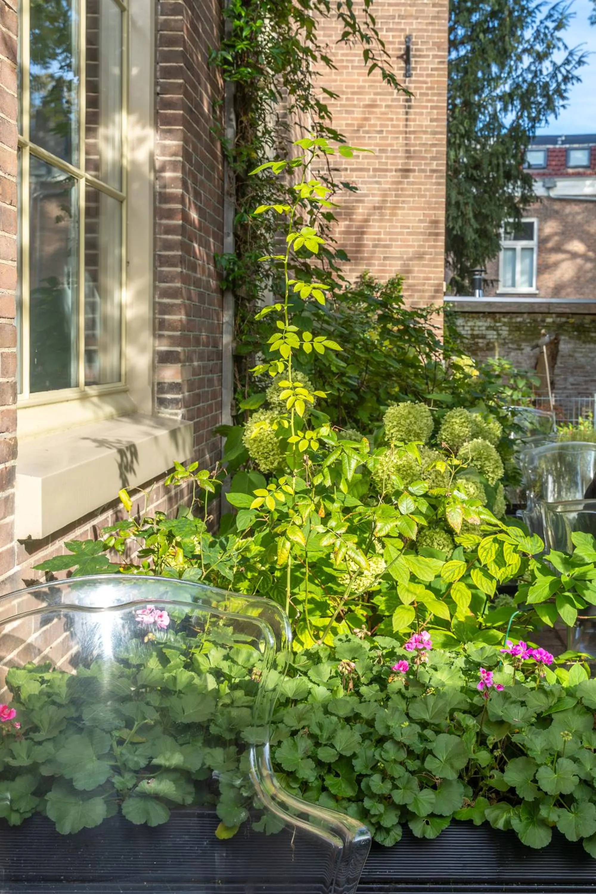 Garden in Boutiquehotel Staats