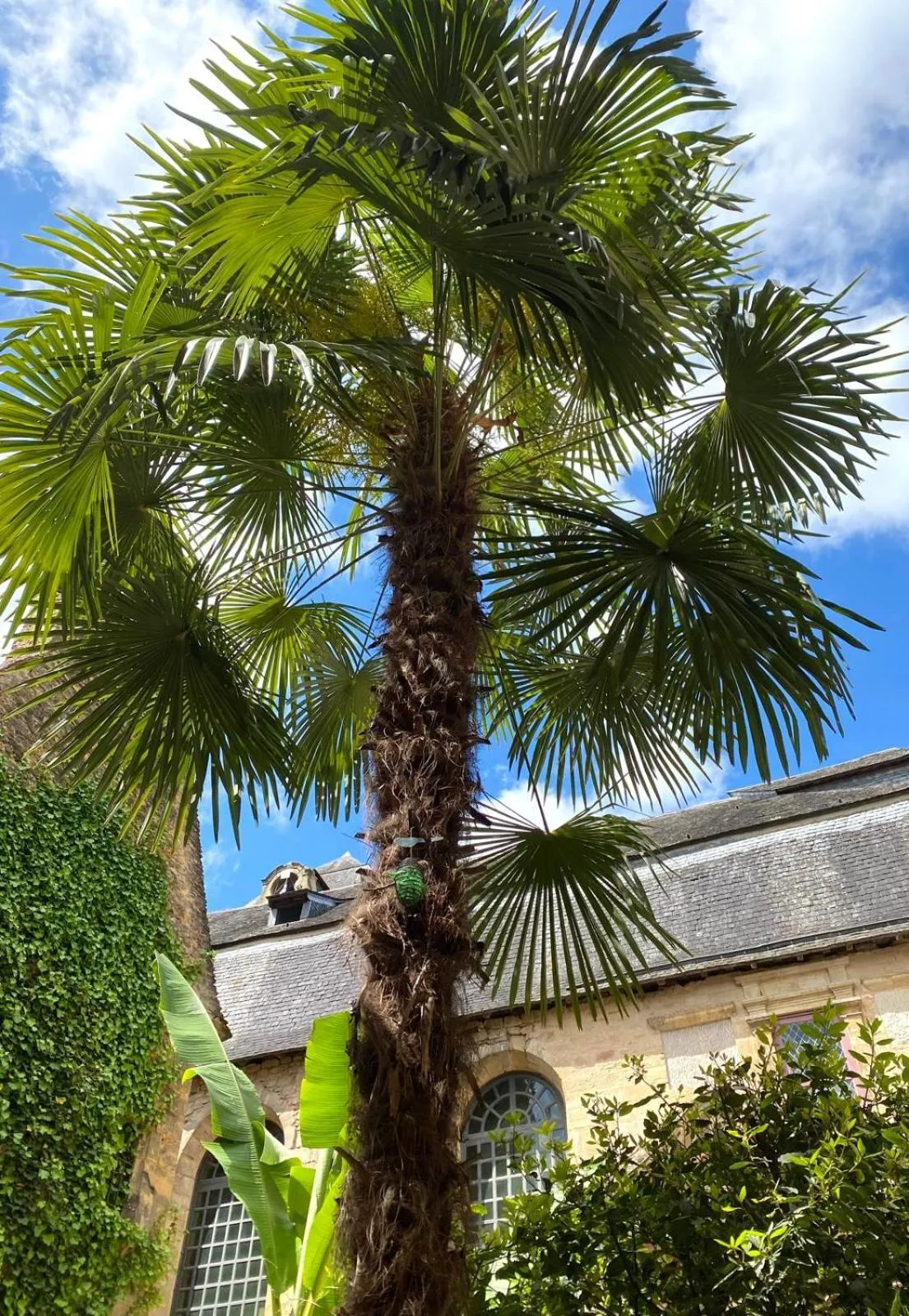 Patio in La Villa des Consuls - Gîte de tourisme de charme