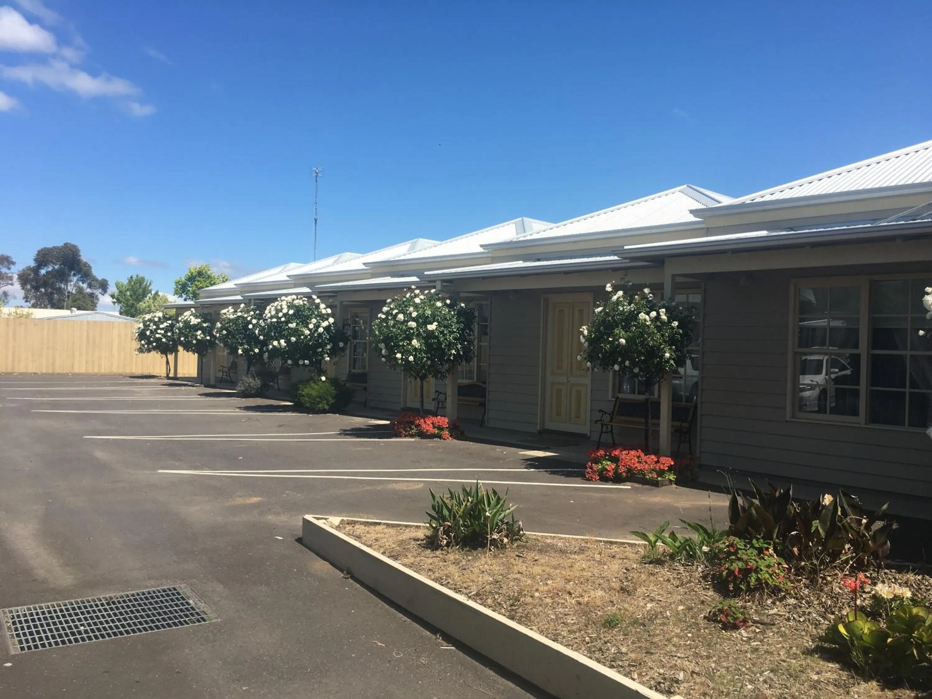 Property building in Winchelsea Motel