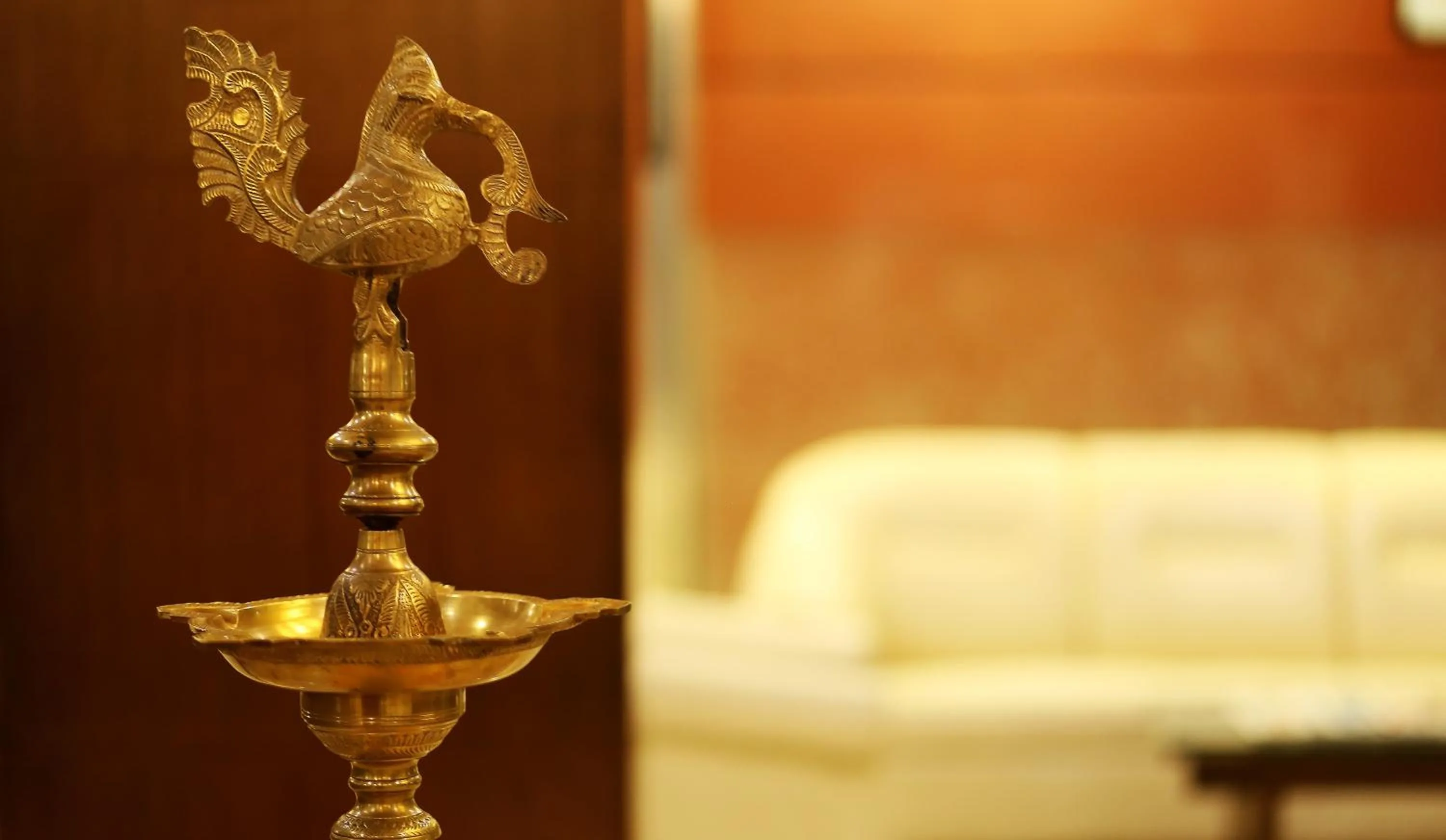 Seating area in Venkat Presidency