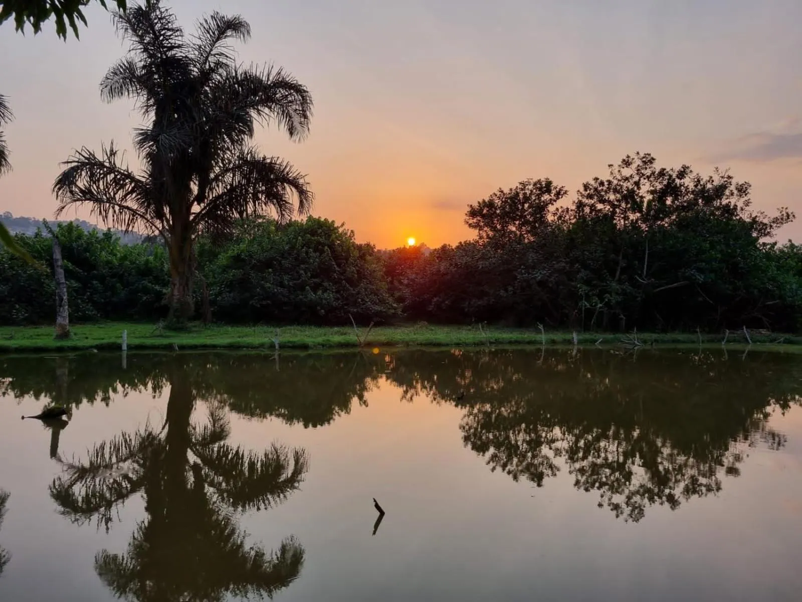 Sunset in ViaVia Entebbe