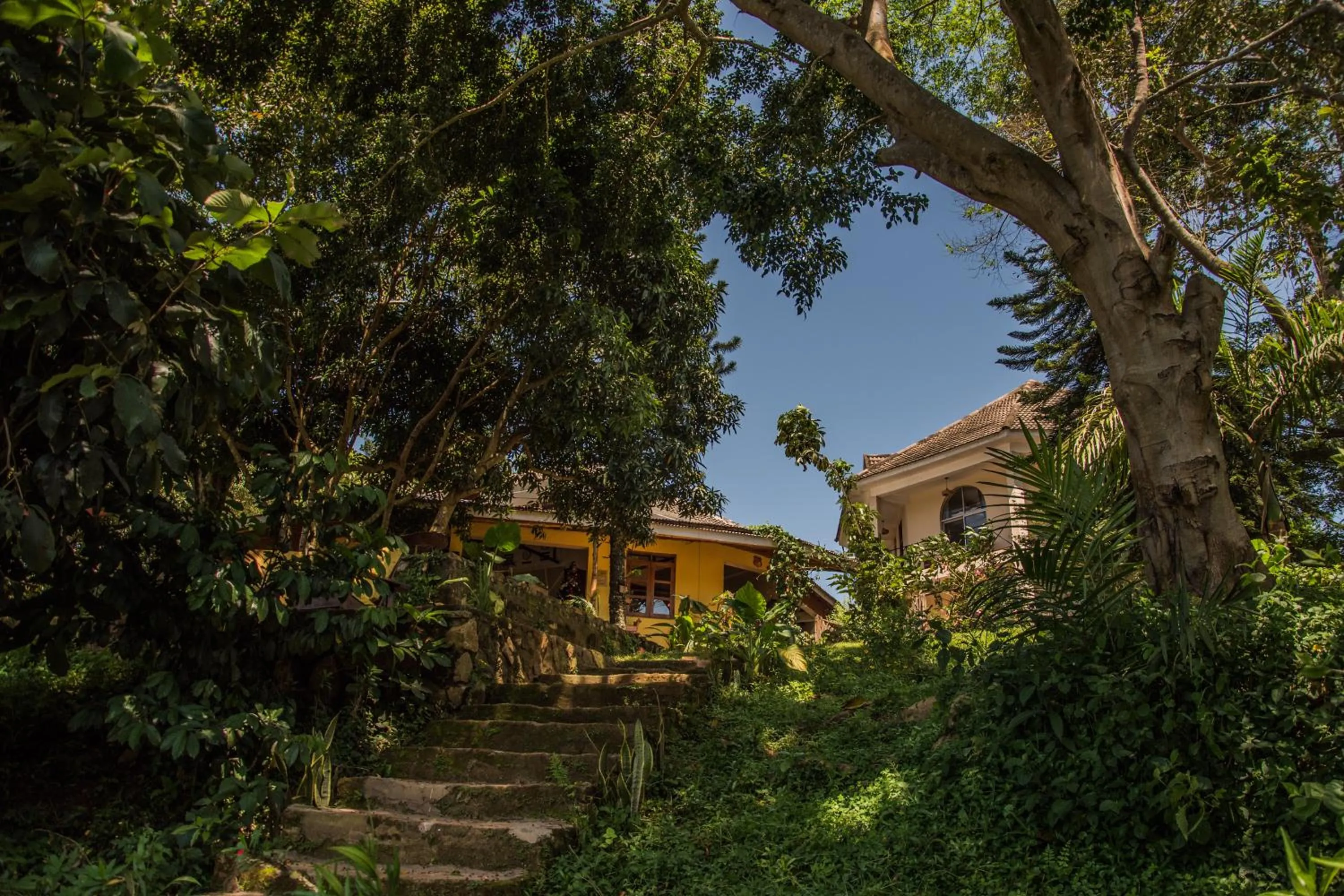 Property building in ViaVia Entebbe