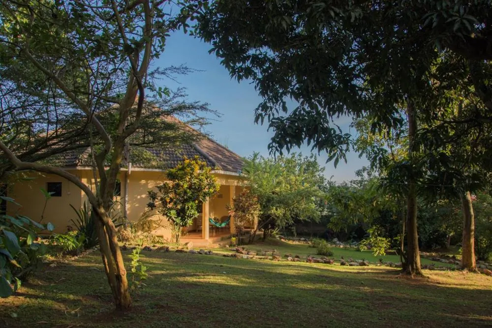 Garden view in ViaVia Entebbe