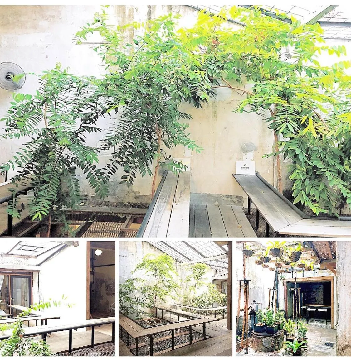 Garden in Rimba Hang Kasturi Villa