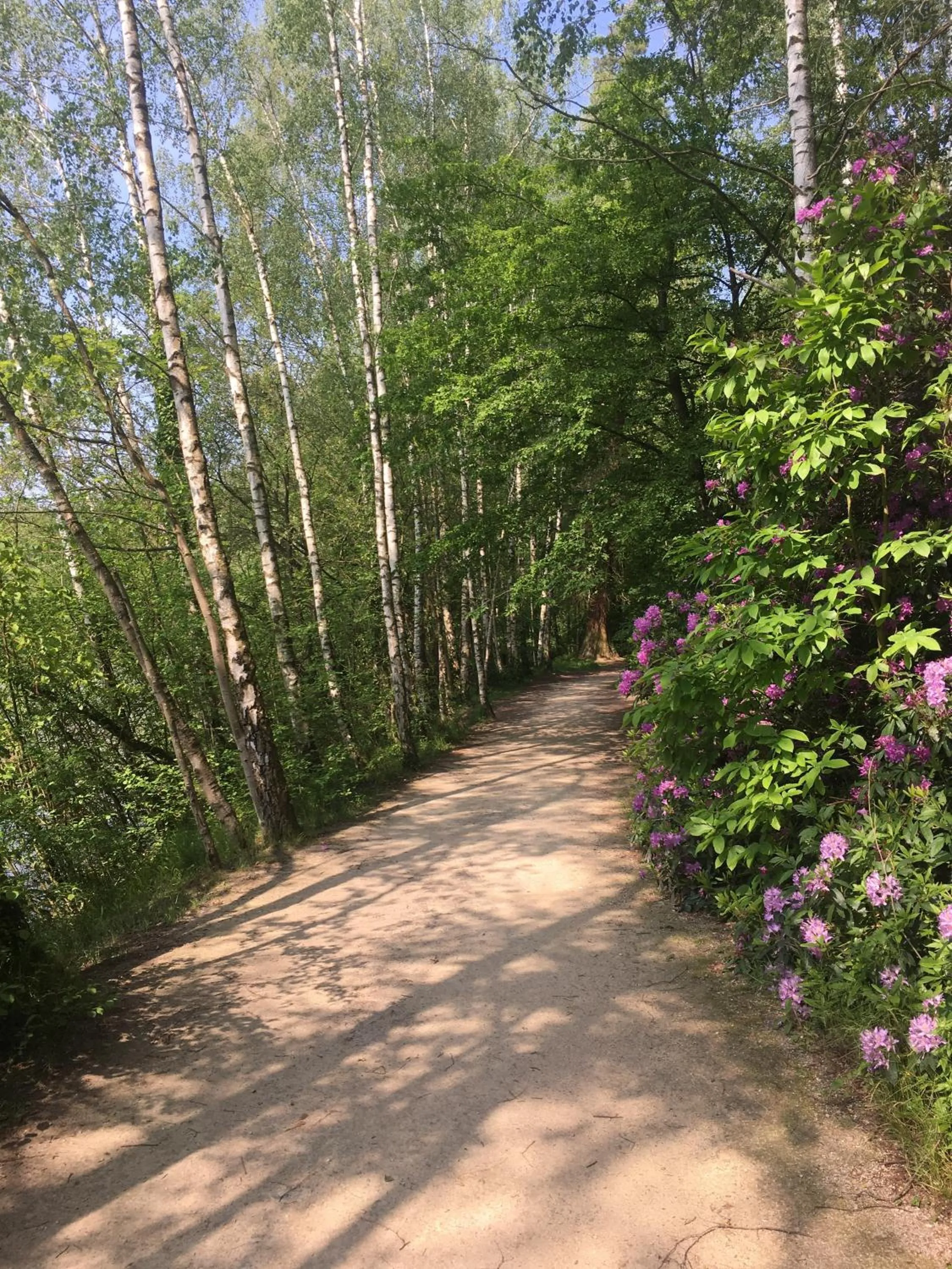 Hiking in Le Vert Logis
