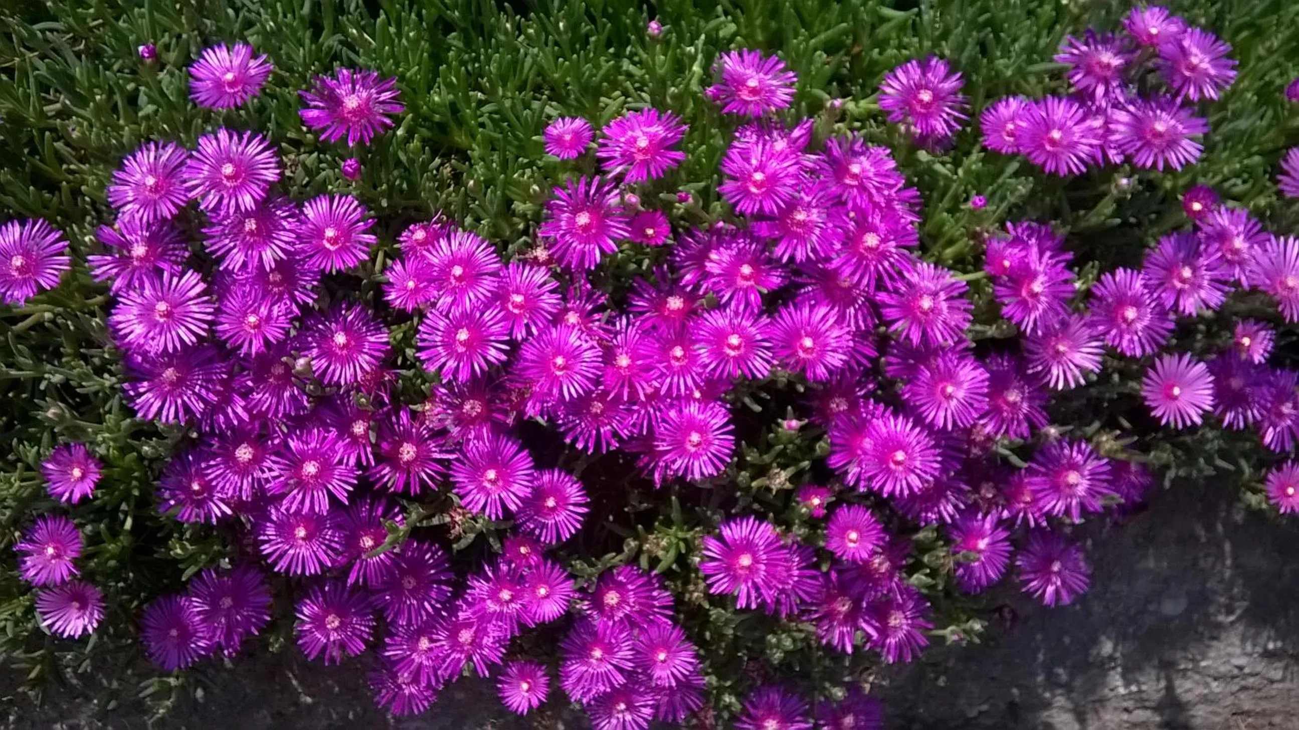 On site in Casa Torre