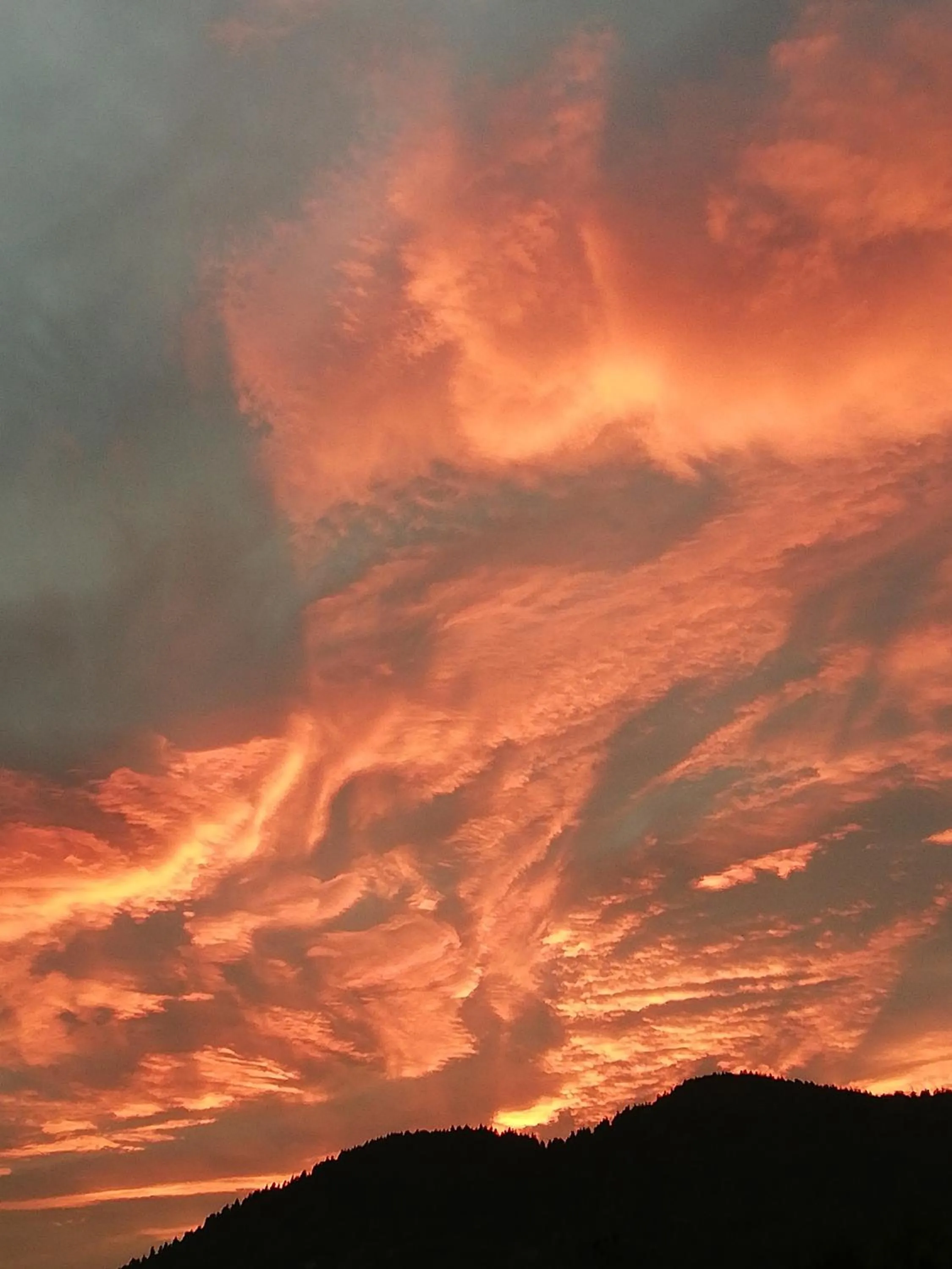 Seasons in Casa Torre