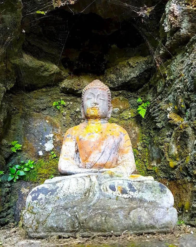 Garden in Bali Mountain Retreat