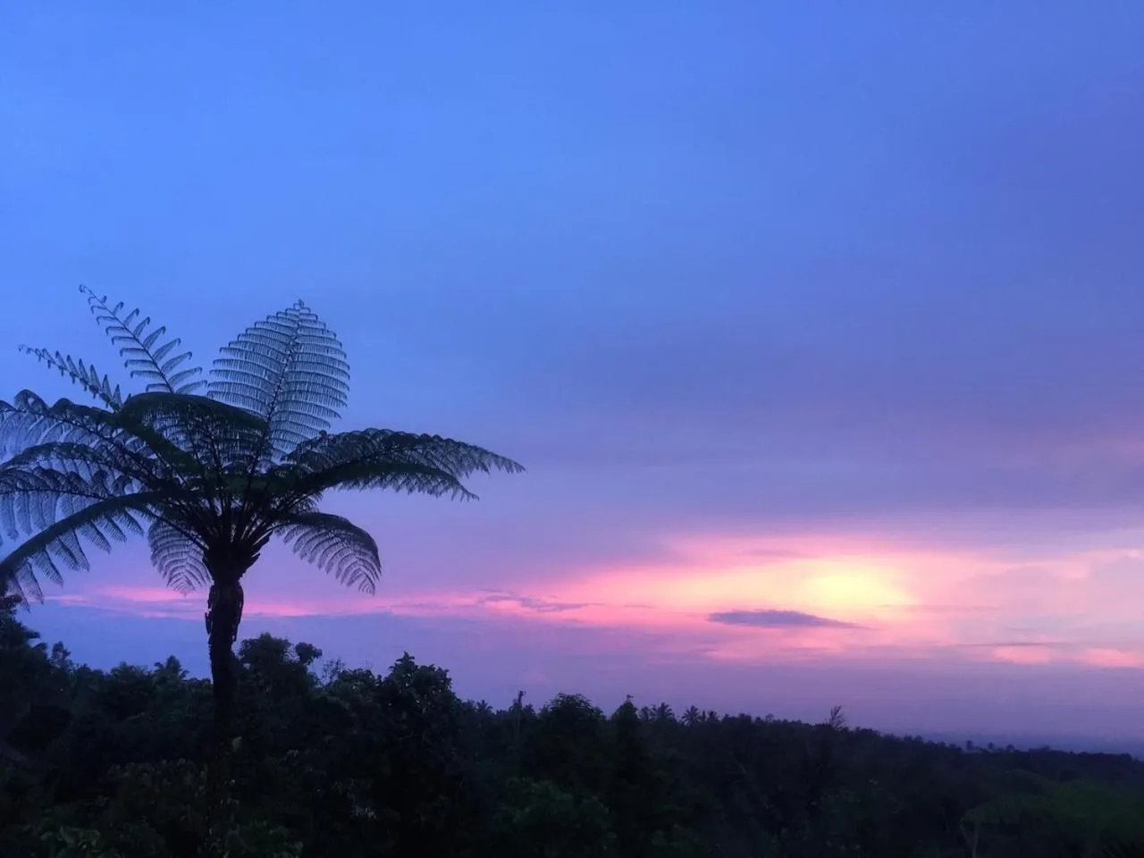 Activities in Bali Mountain Retreat