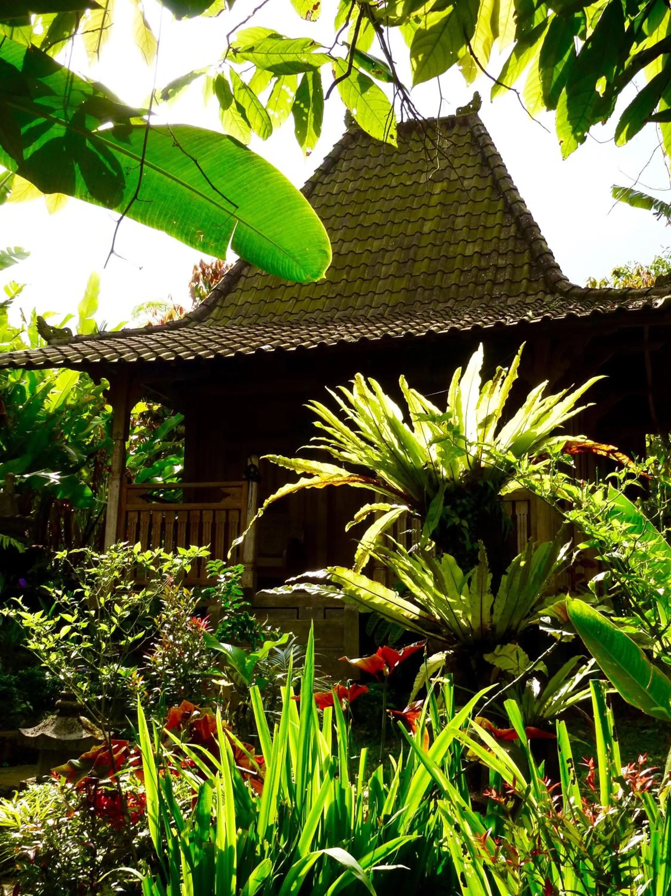 Bali Mountain Retreat