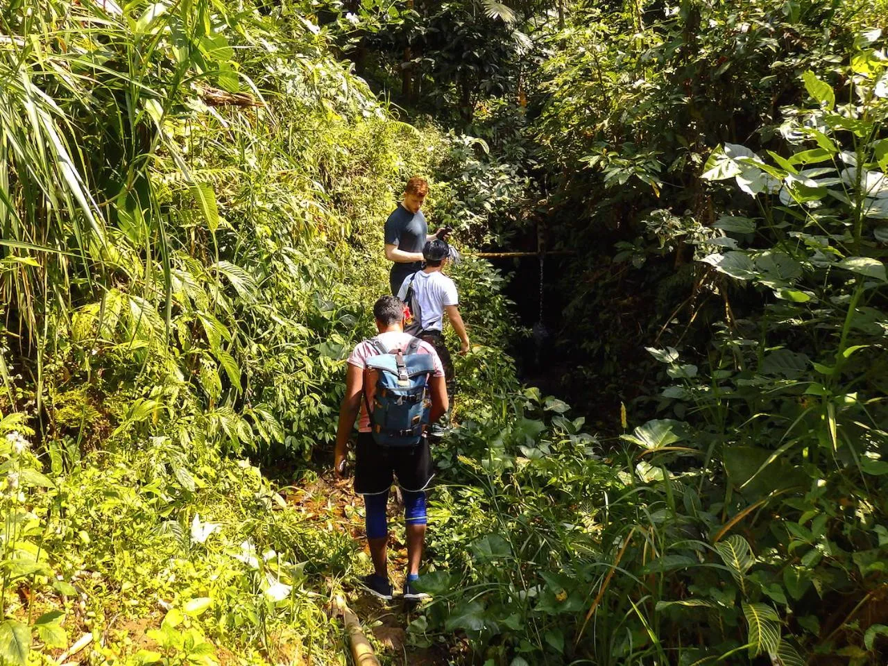 Activities in Bali Mountain Retreat