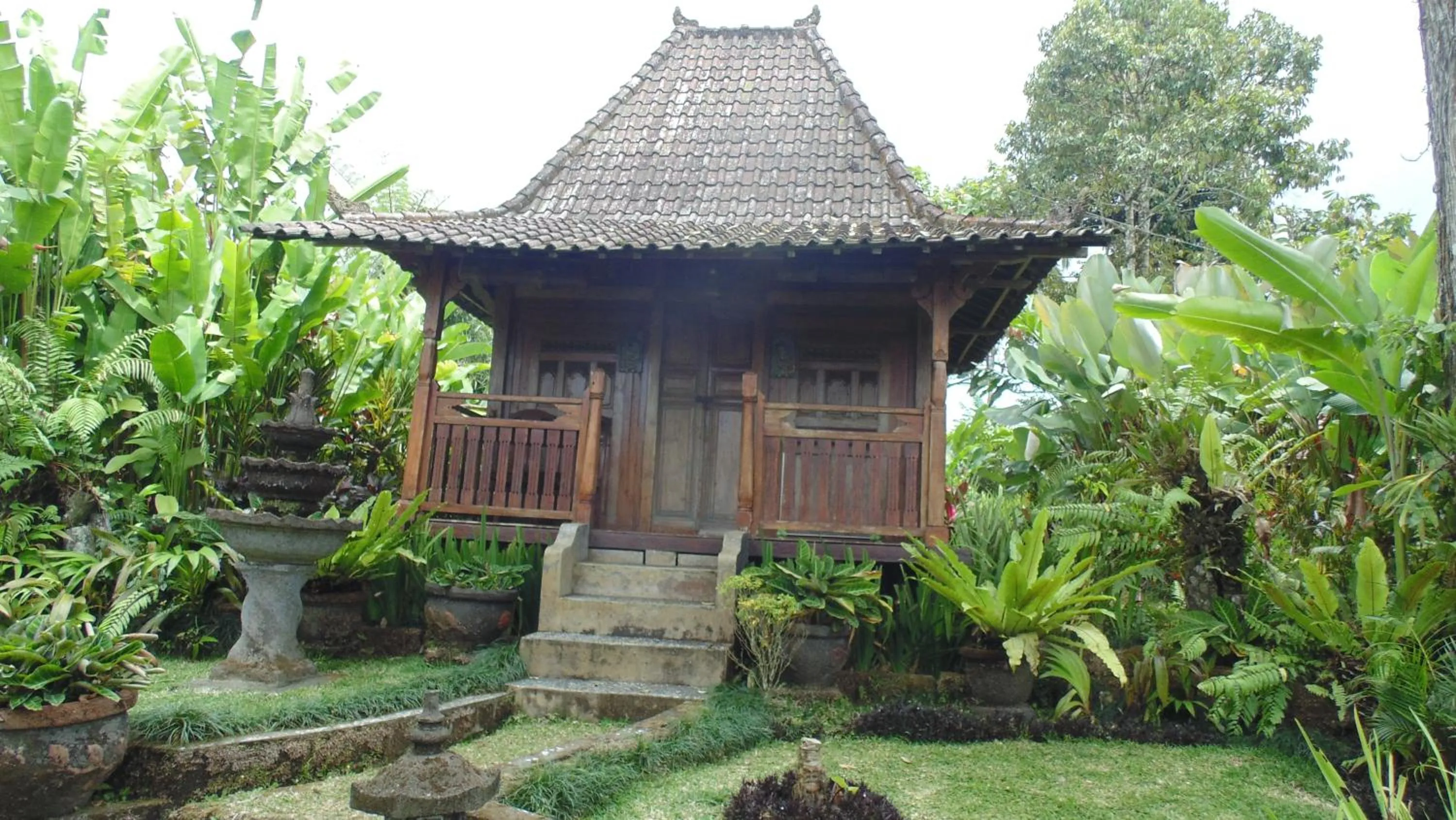 Bali Mountain Retreat