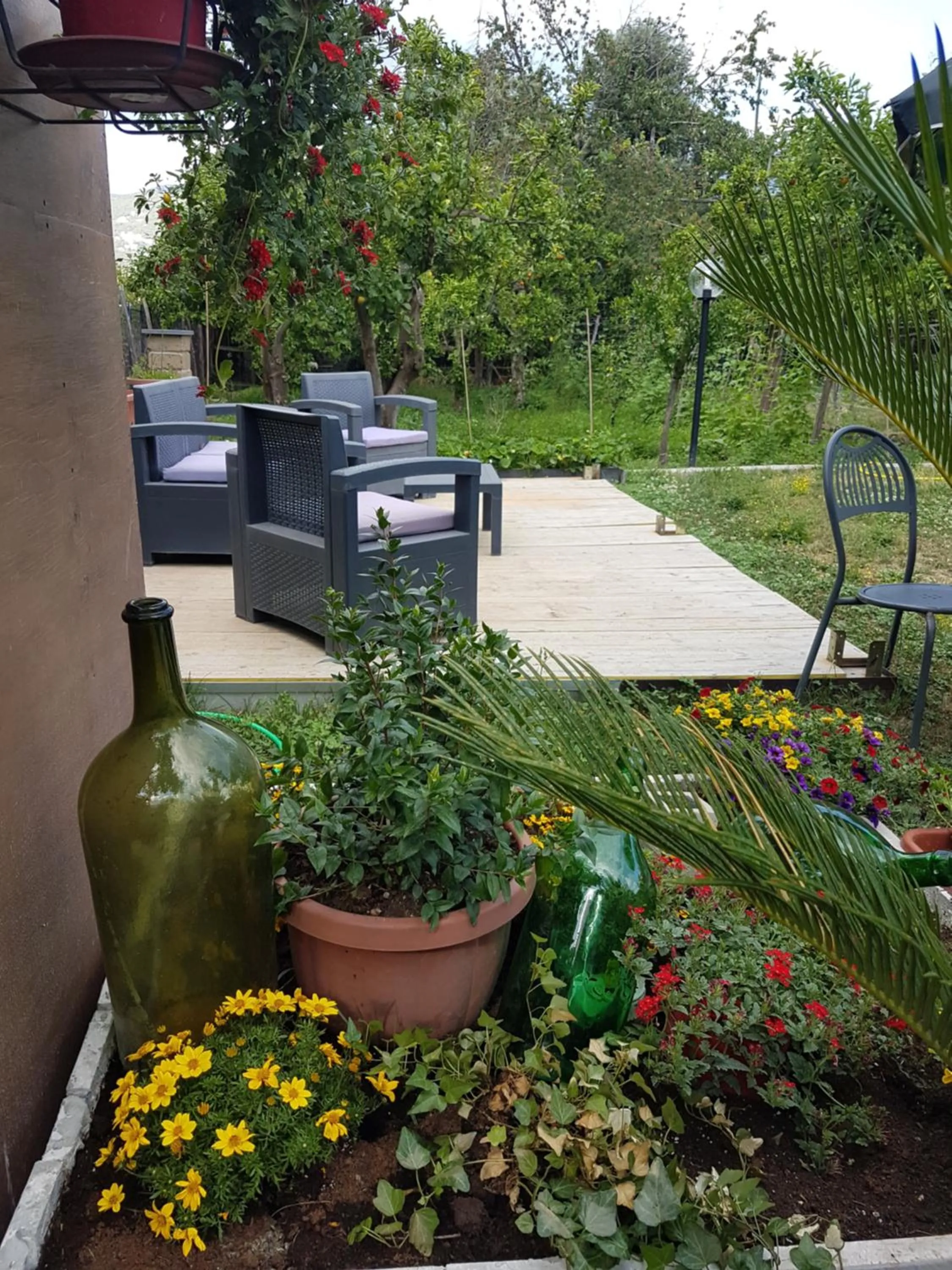 Garden view in Casa Aristide