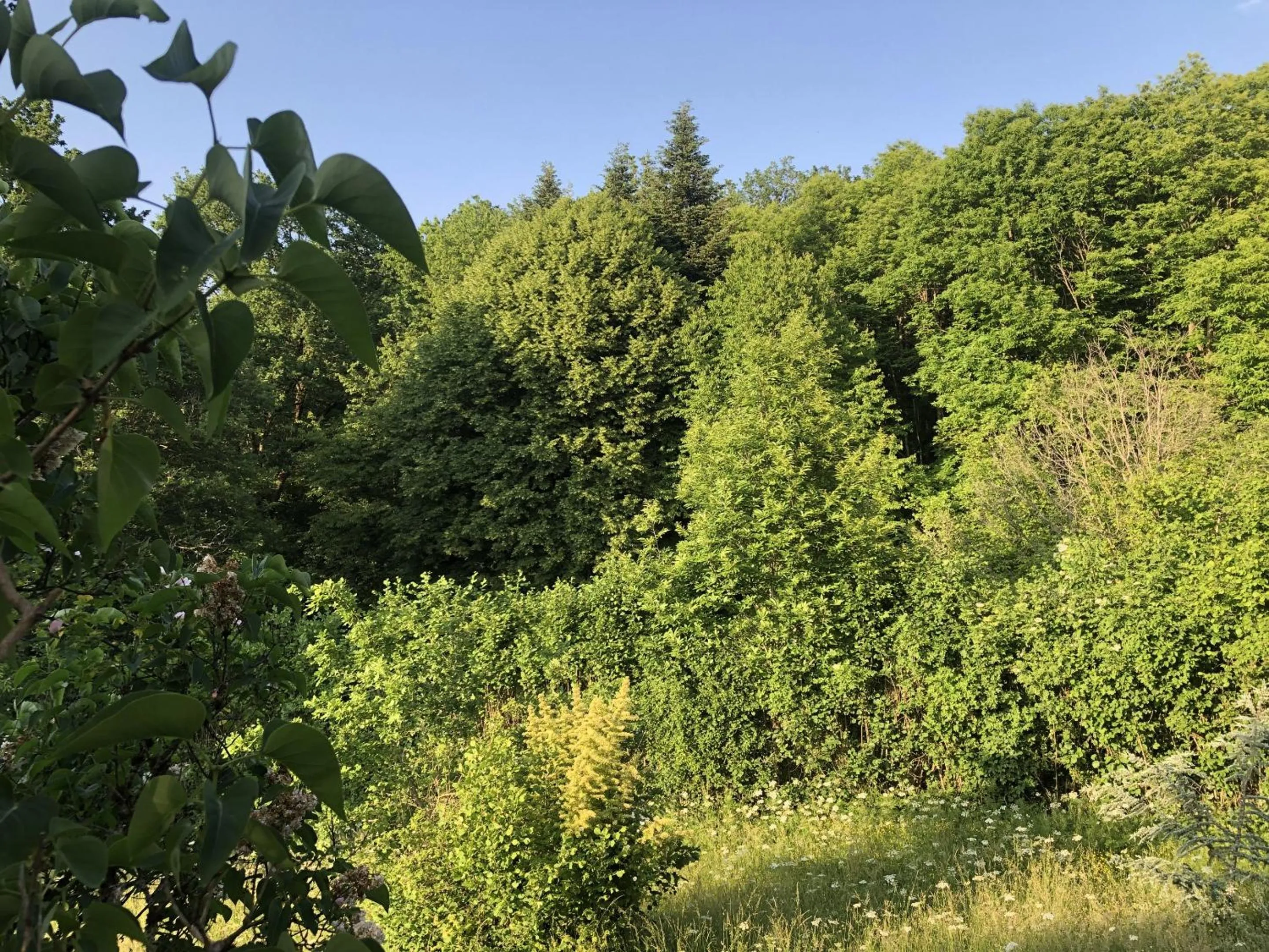 Patio in Gîte de la Colombière