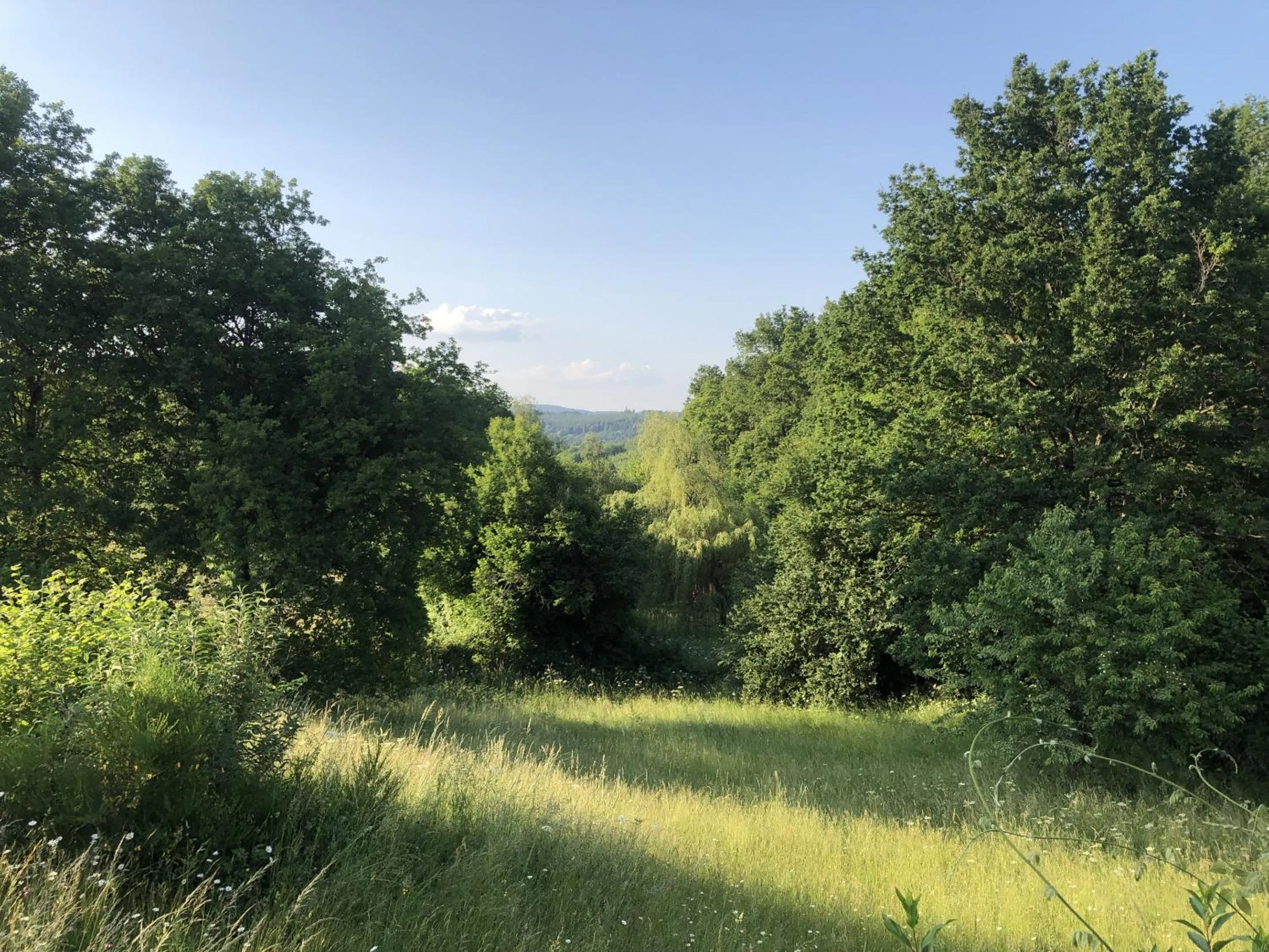 Neighbourhood in Gîte de la Colombière