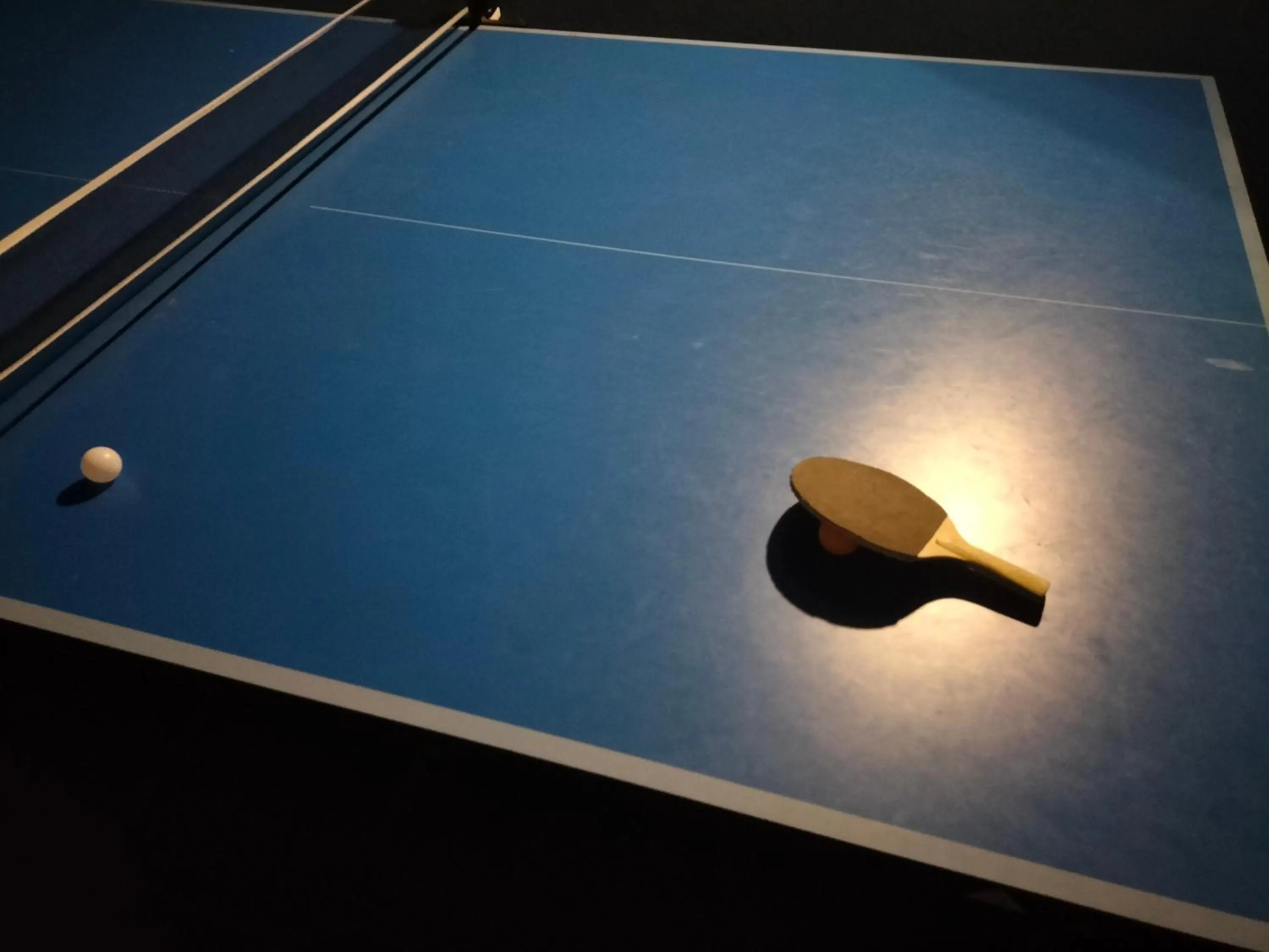 Table tennis in Grand Hotel Europa Rivisondoli Centro