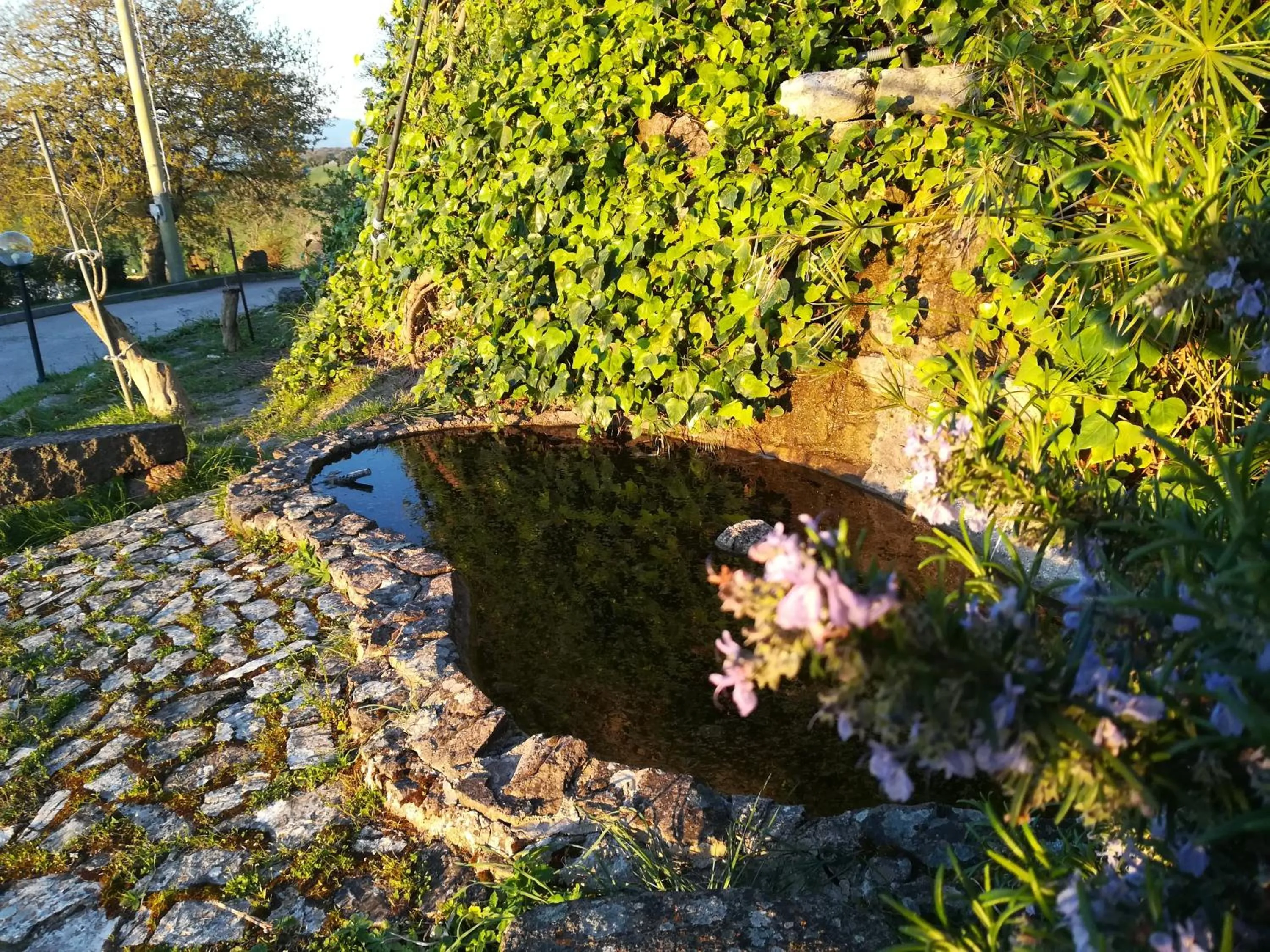 Property building in bed and coffee Sas Damas