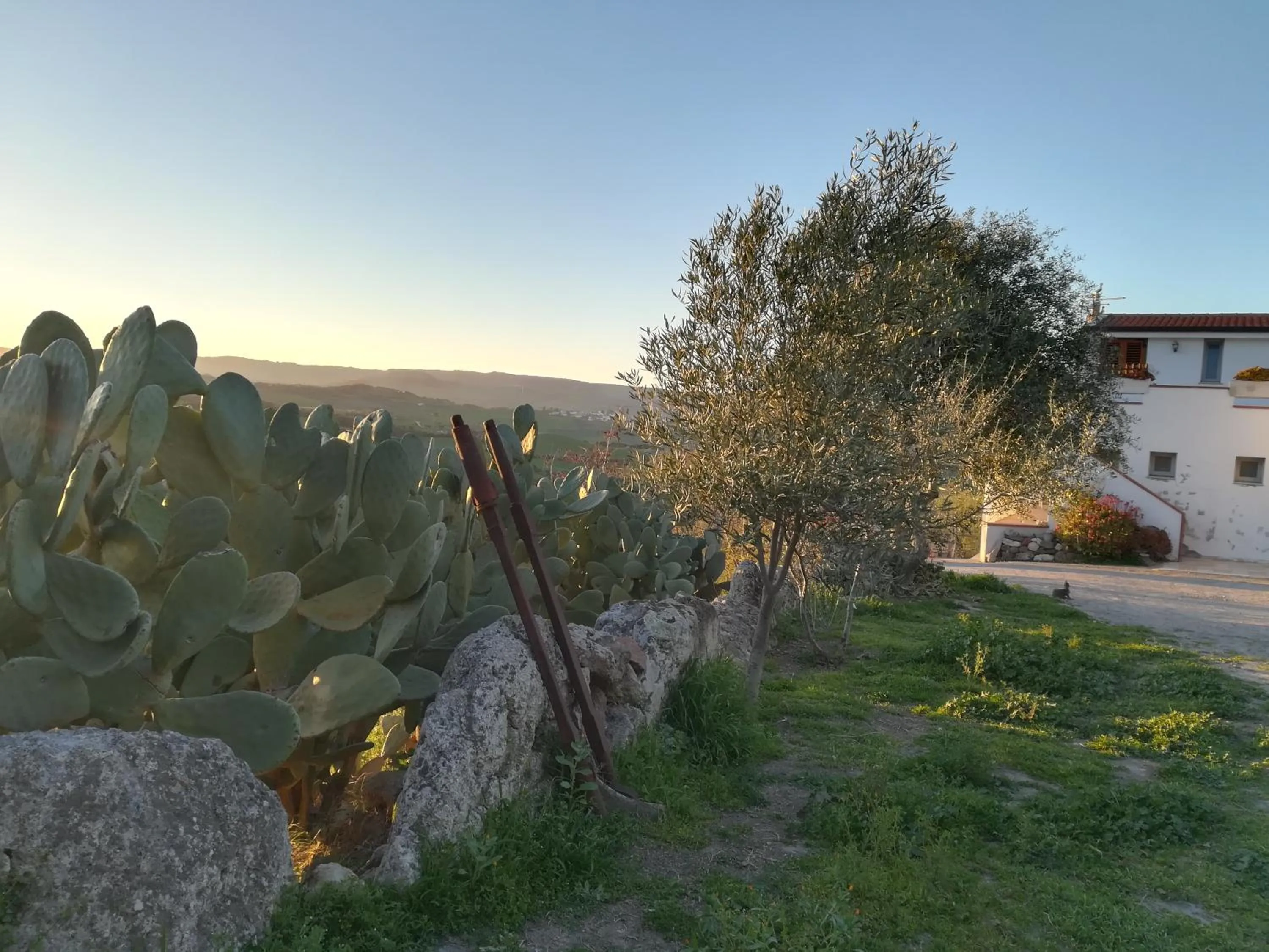 Property building in bed and coffee Sas Damas