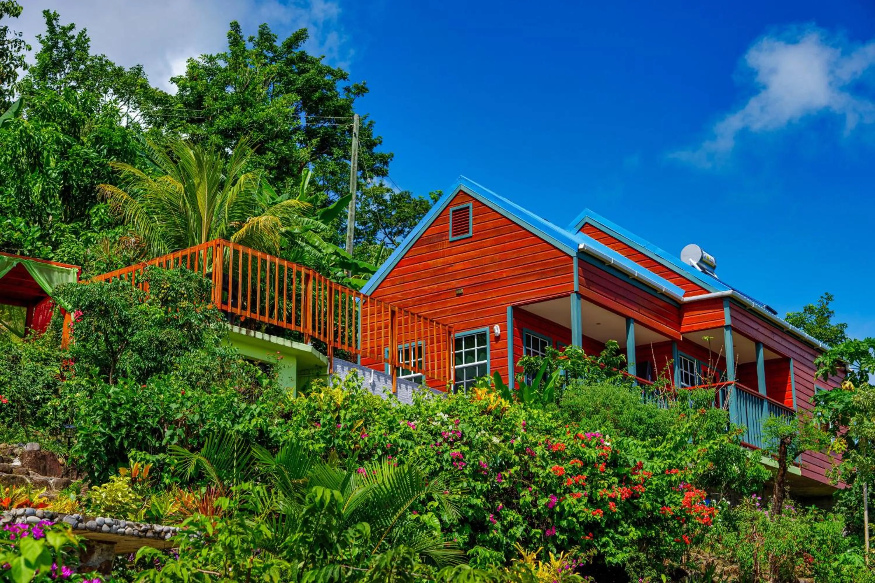 Garden in Tropical Paradise View