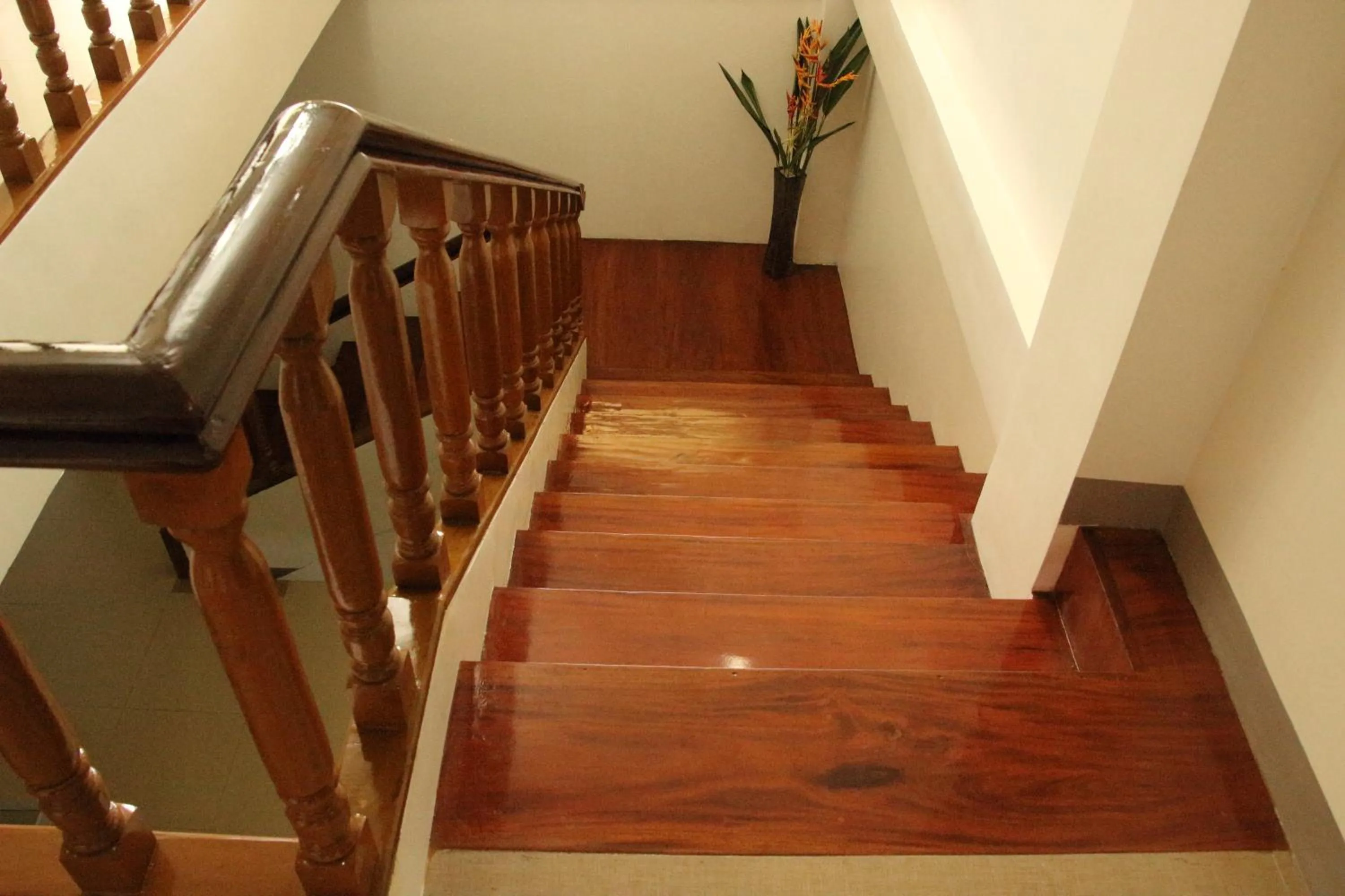 Property building in Casa Belina