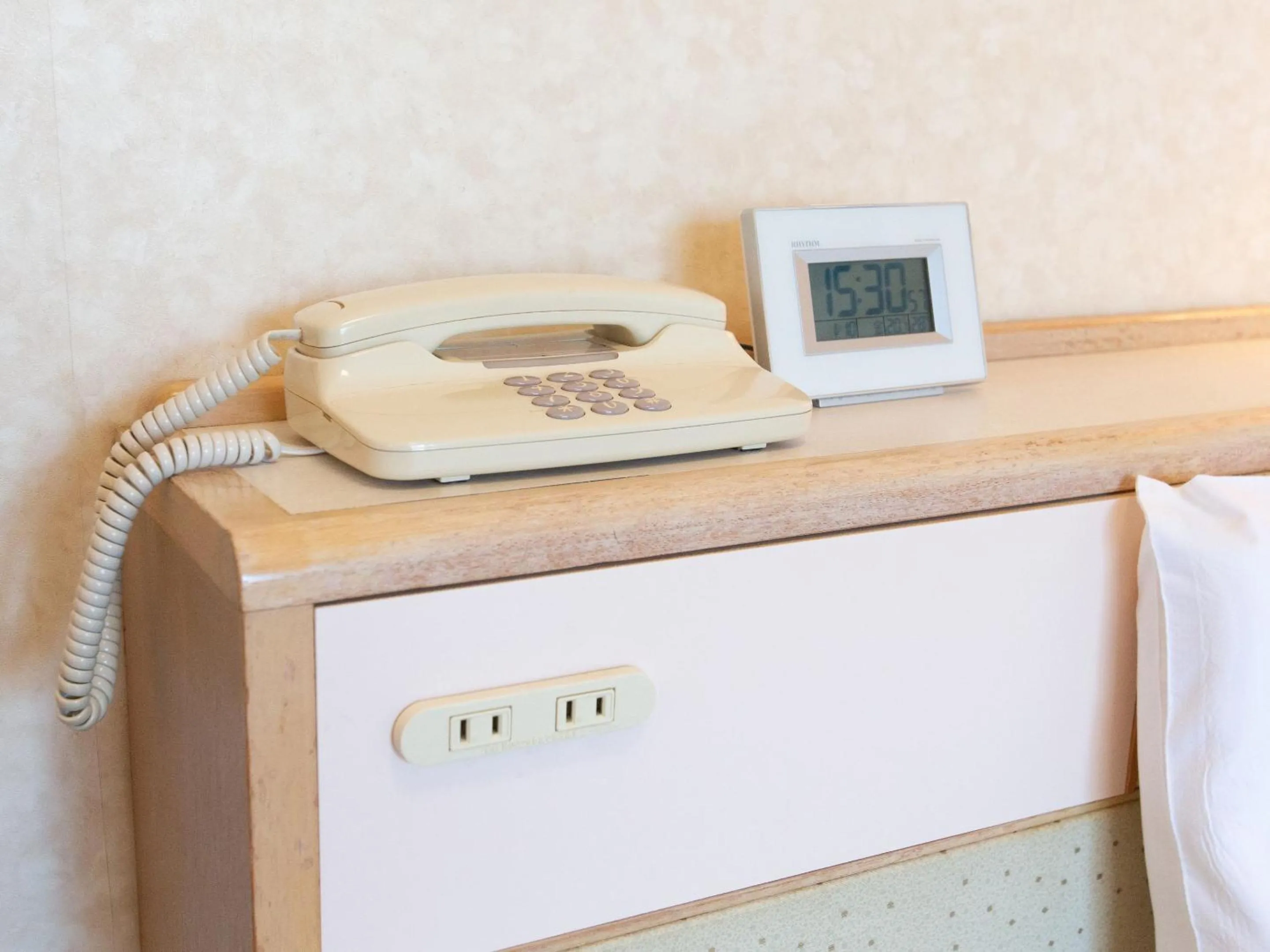 Photo of the whole room in Toyama Chitetsu Hotel