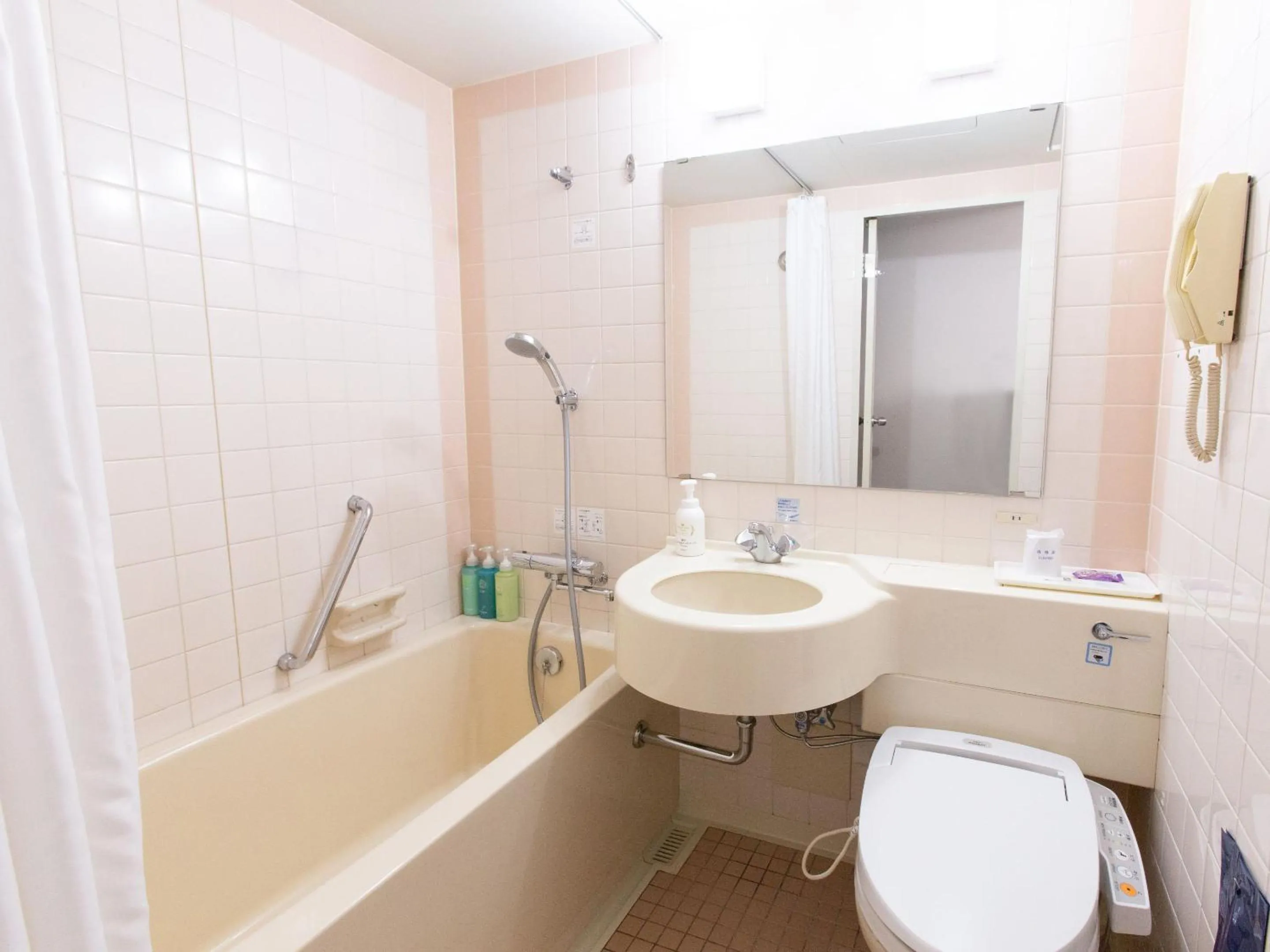 Bathroom in Toyama Chitetsu Hotel