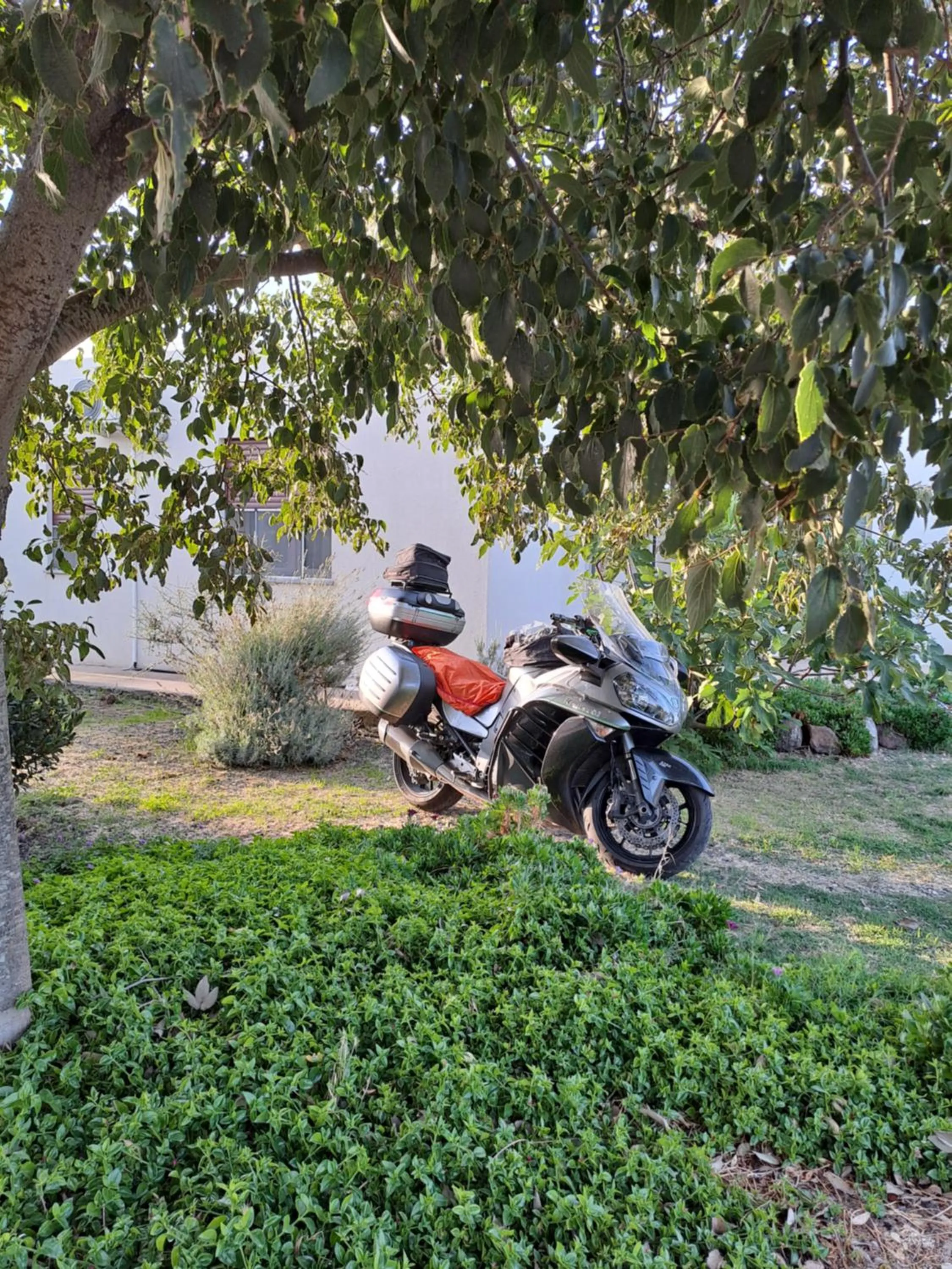 Alma Bed & Breakfast