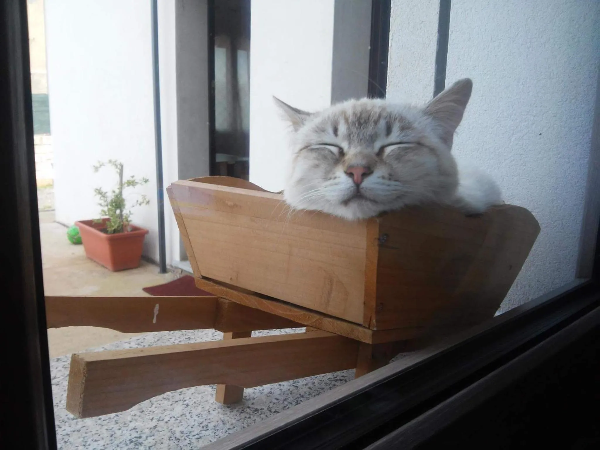 Staff in Alma Bed & Breakfast