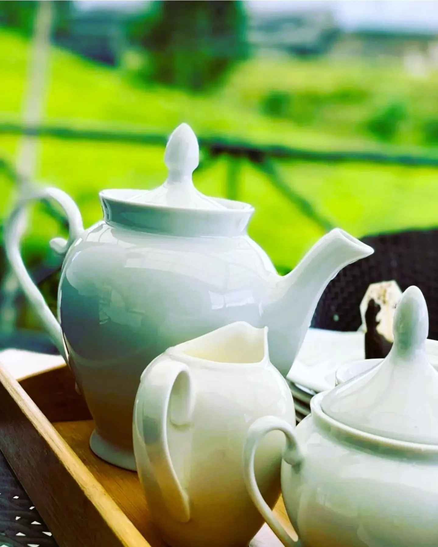 Coffee/tea facilities in The Tea Garden