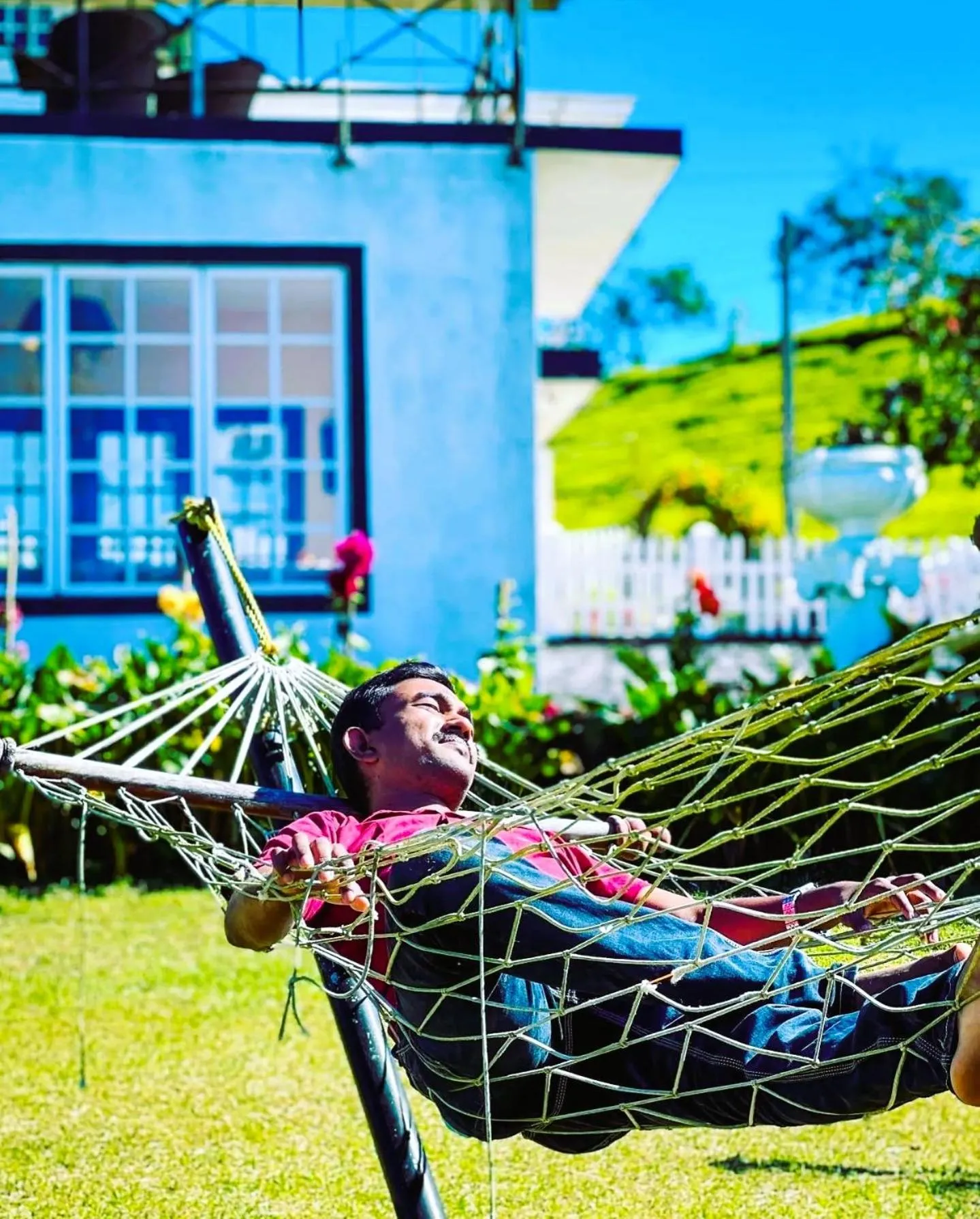 Garden in The Tea Garden