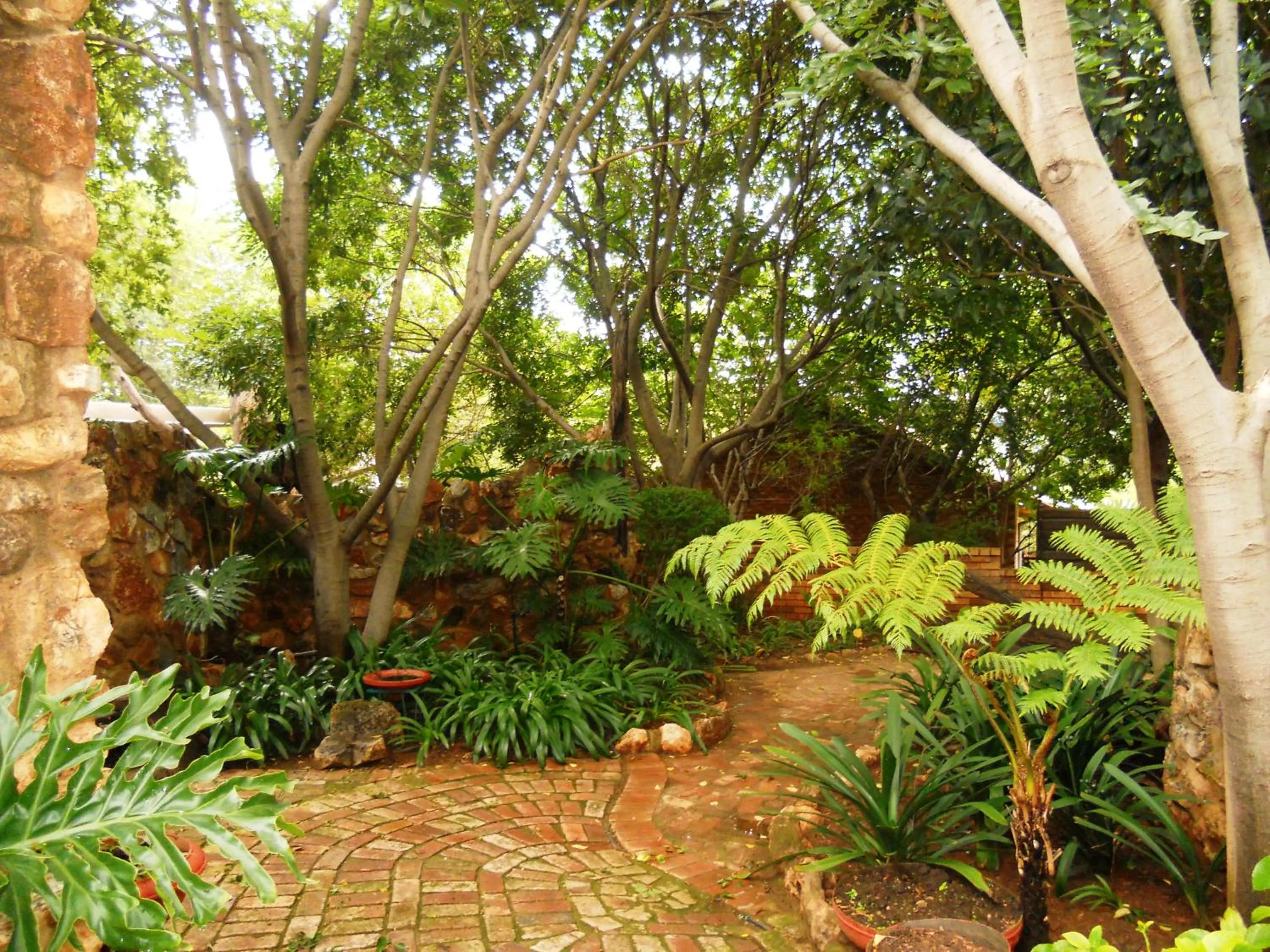 Garden in Centurion Guest House and Lodge