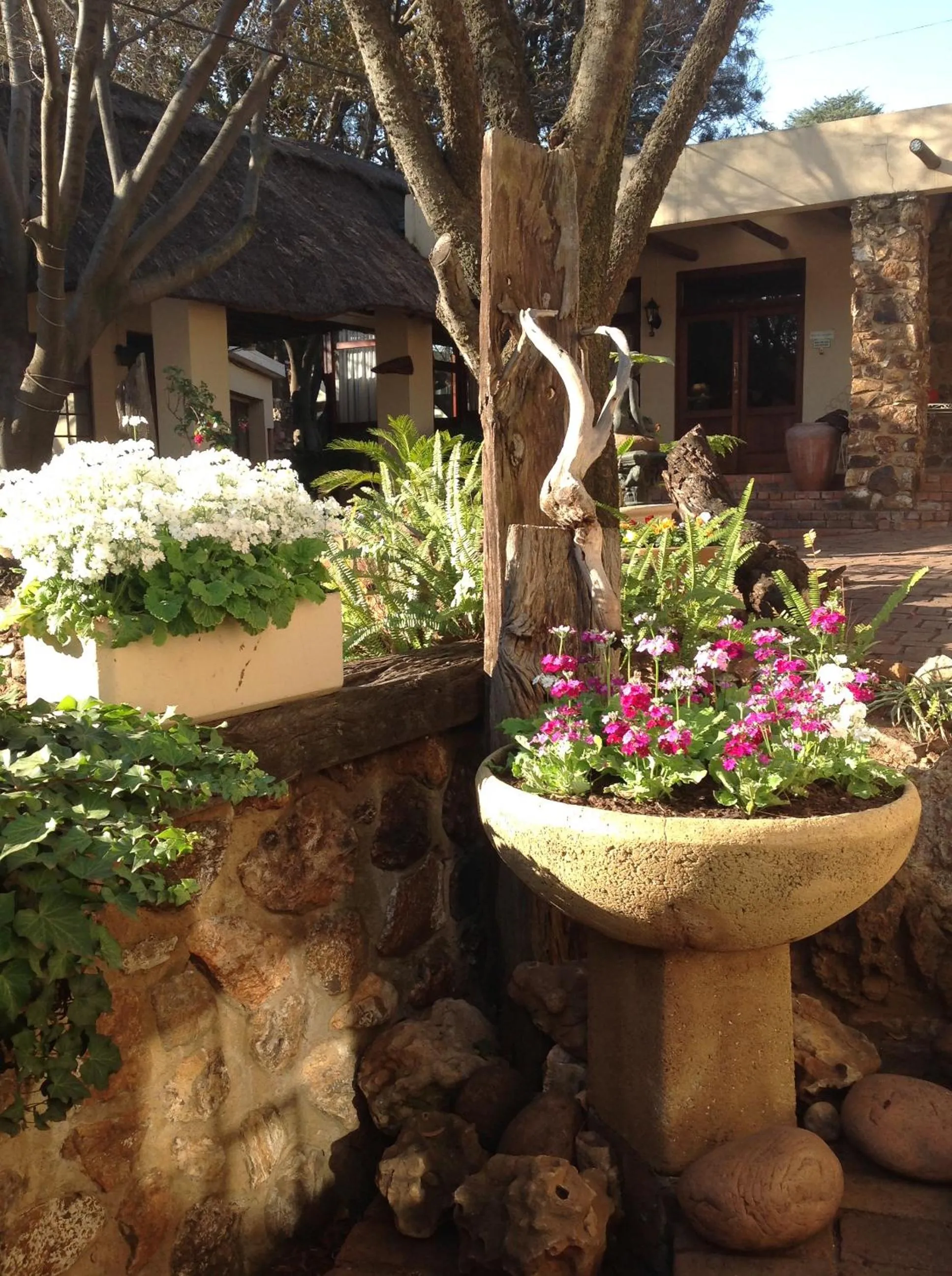Facade/entrance in Centurion Guest House and Lodge