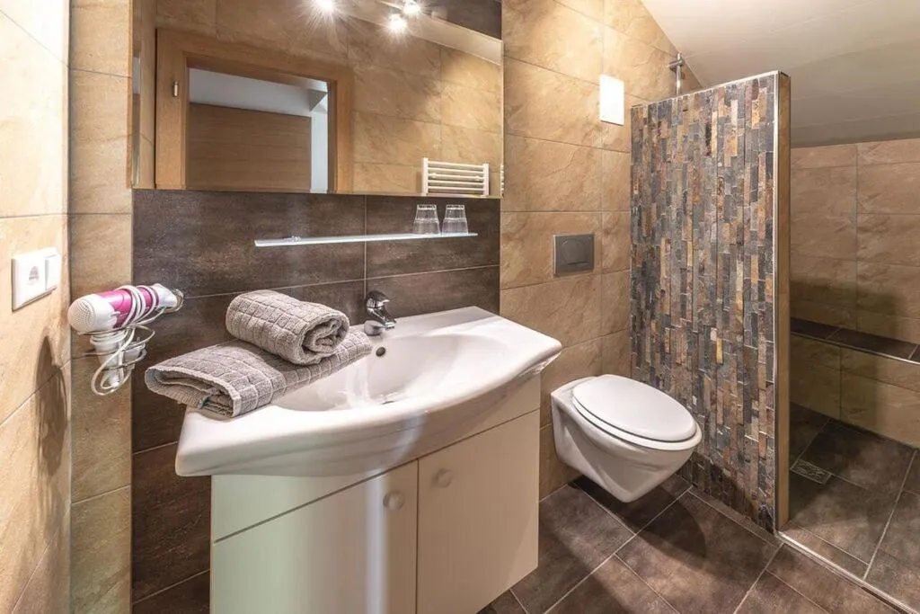 Shower in XL Appartements Steinhaus