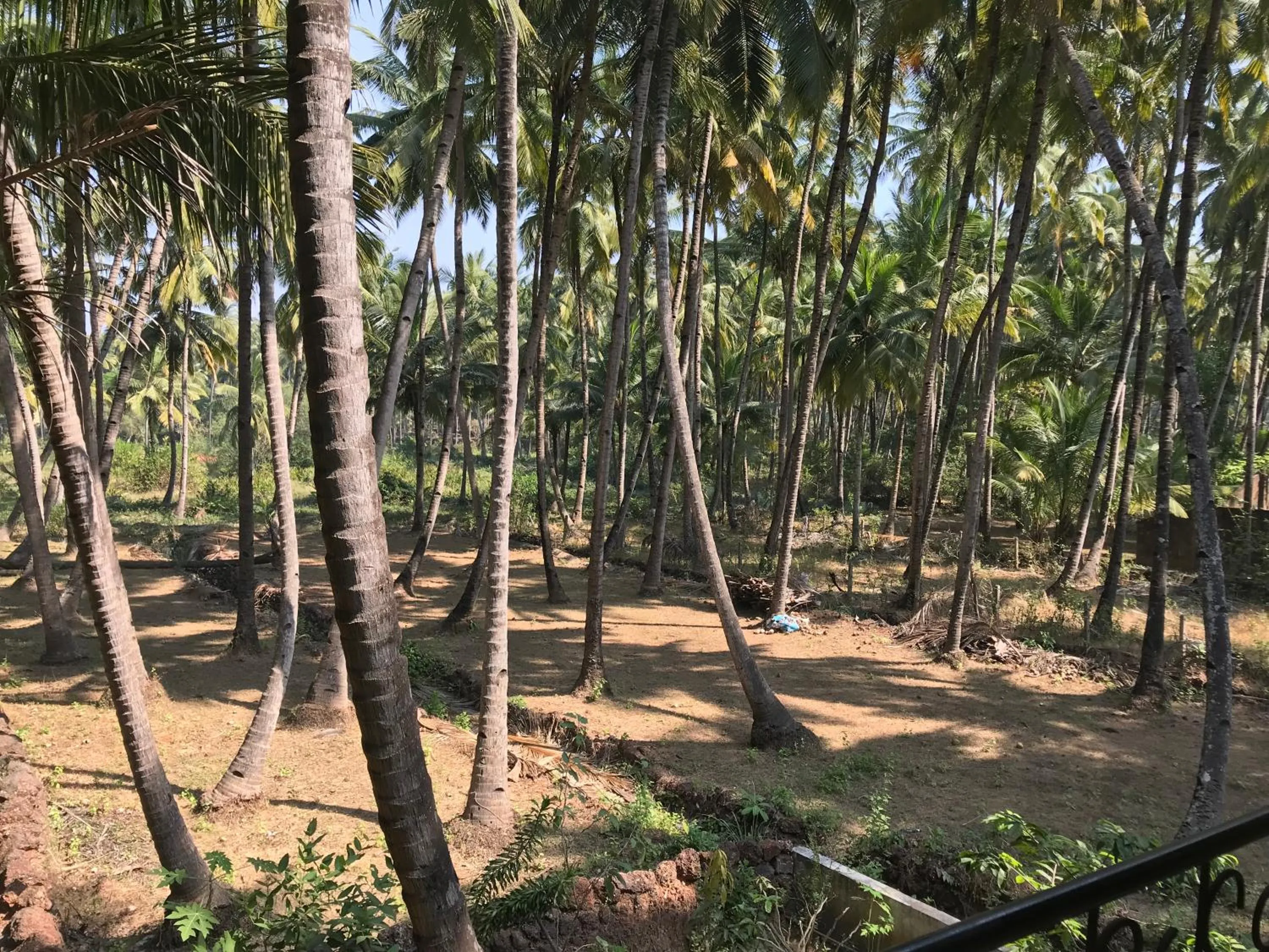 All Seasons Guest House