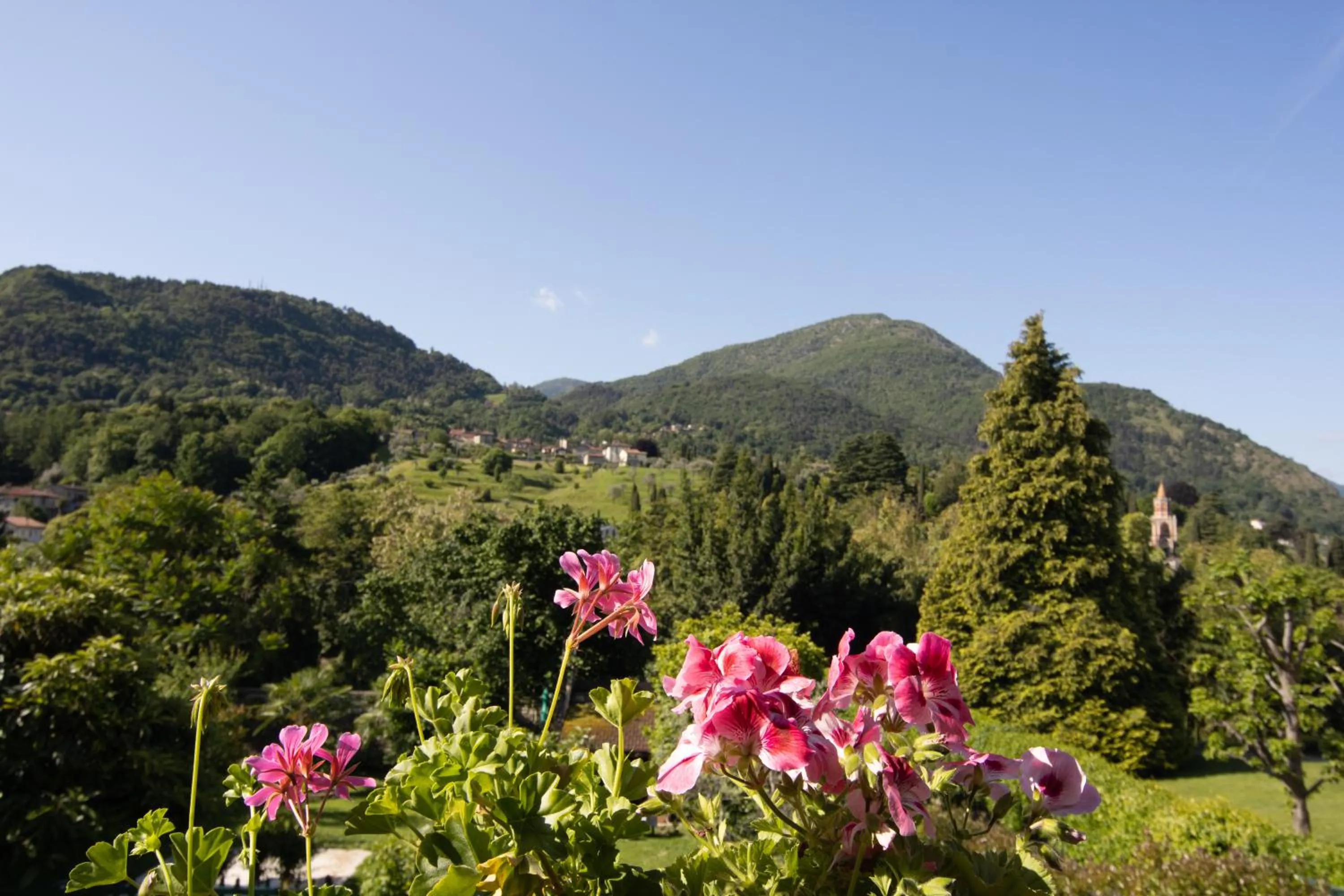 Natural landscape in Conca Verde Appartaments