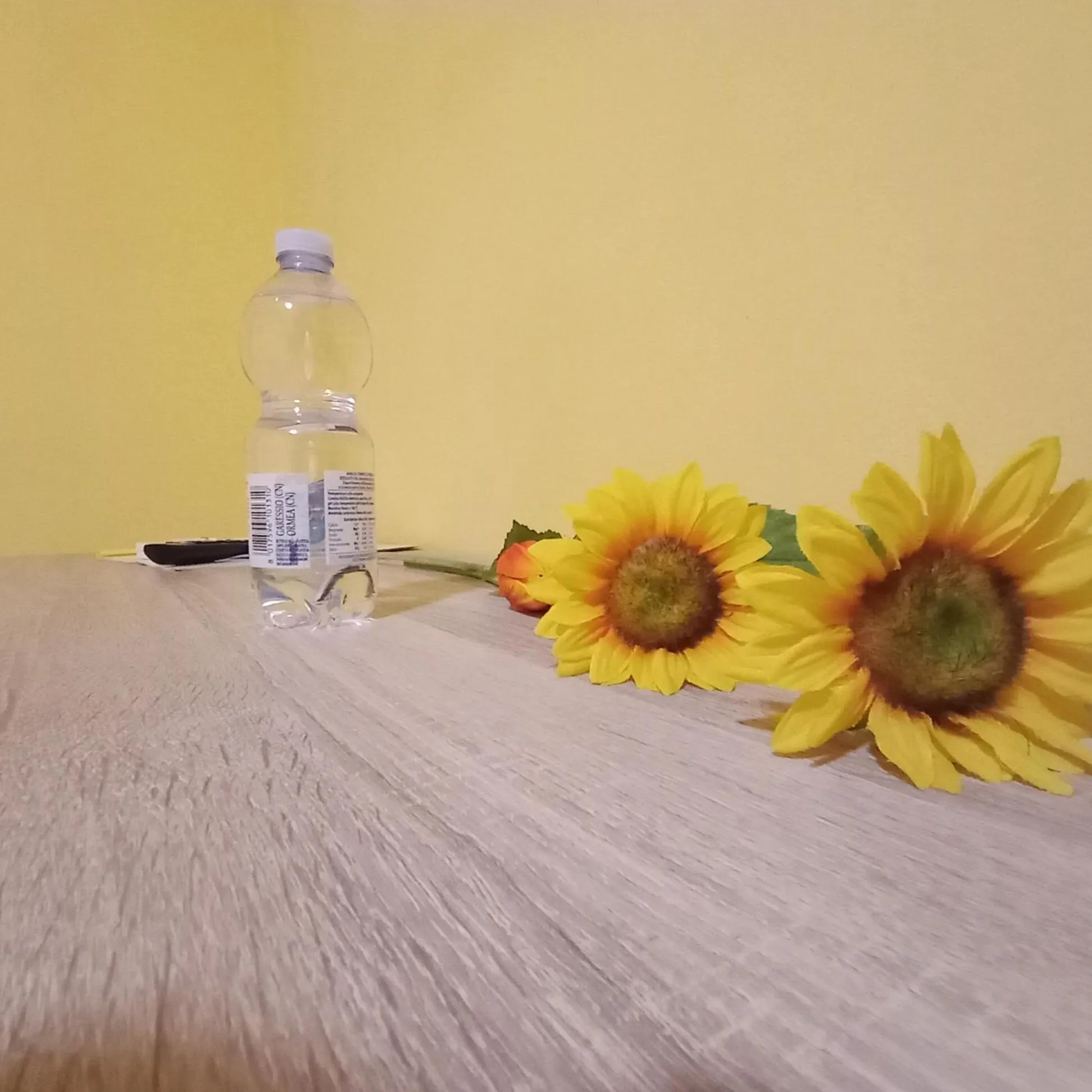 Decorative detail in A1 Girasole B&B