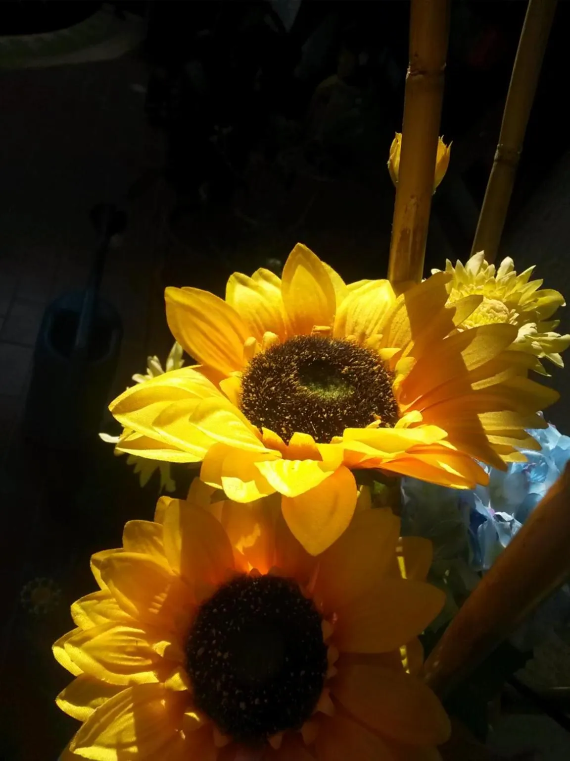 Garden view in A1 Girasole B&B